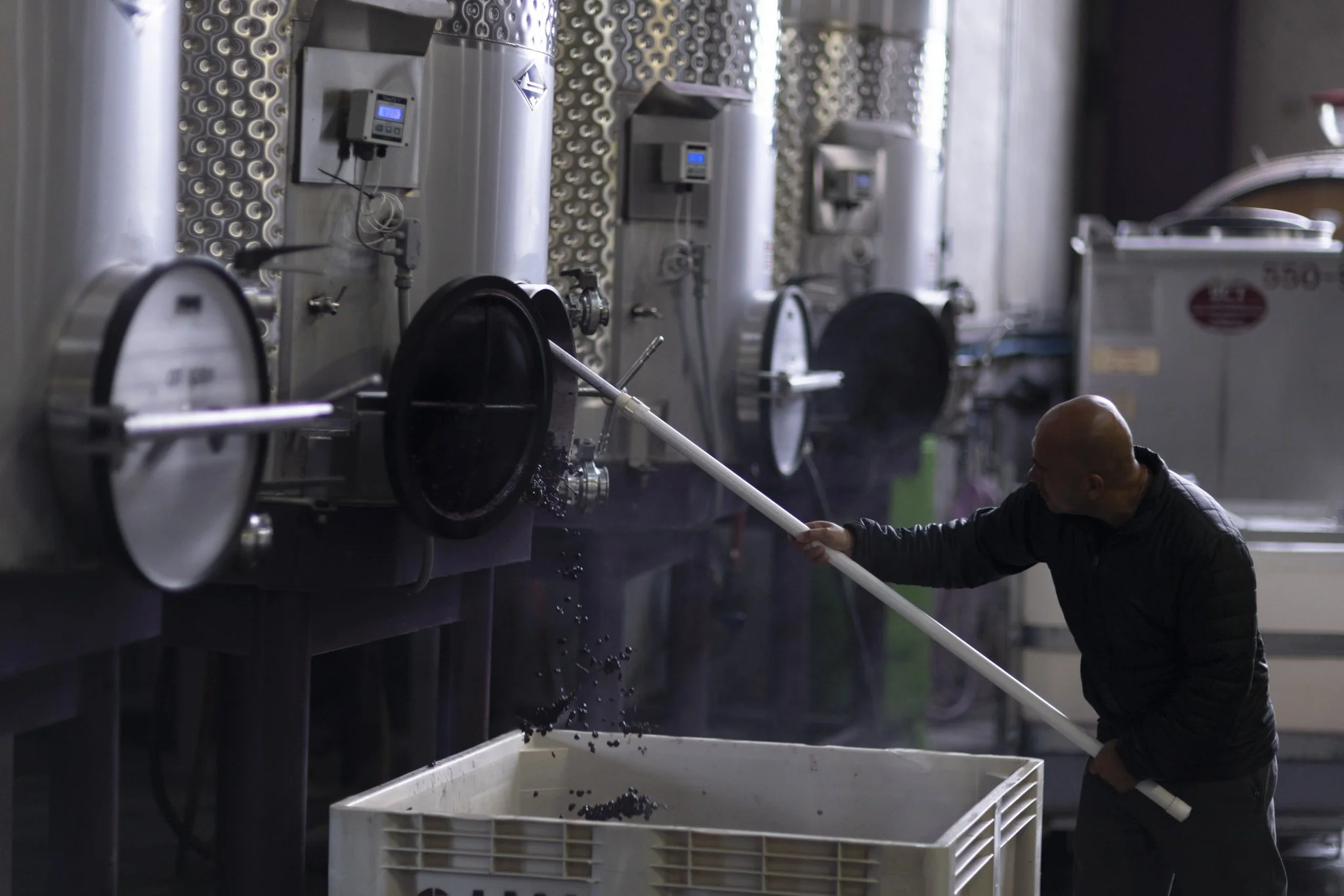 wildly simple productions_napa_sonoma_video_photo_011.jpg