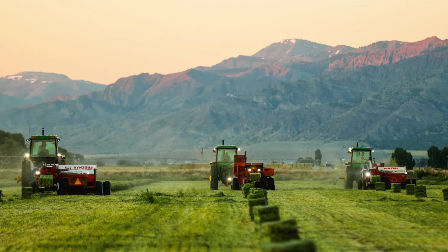 Working the fields
