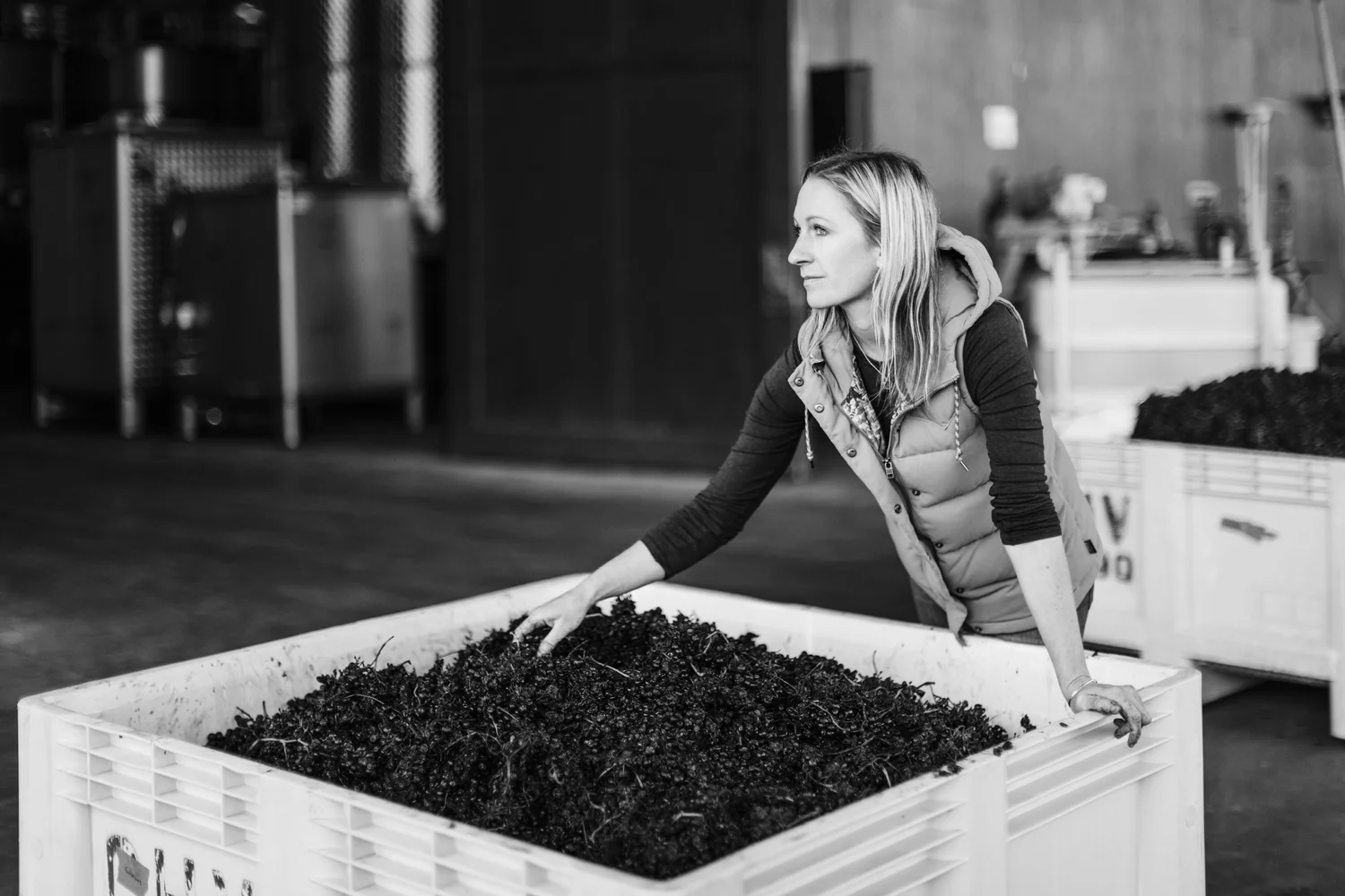 A winemaker during harvest