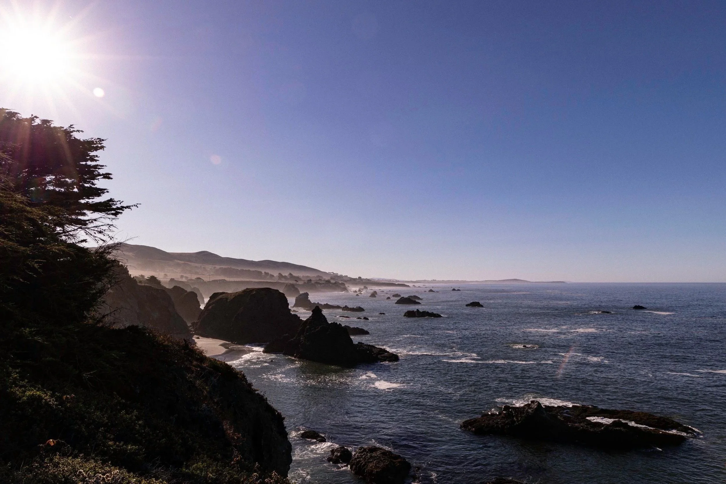 Winery Grapes, Wine, Harvest,  Photographs David Sawyer Sonoma California  Napa Valley