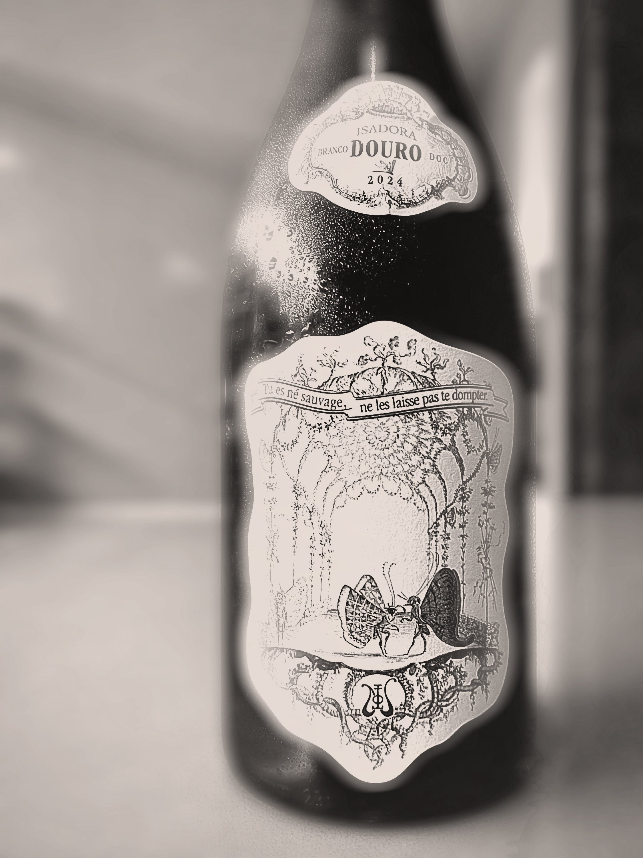 Grapes, Wine, Harvest, Wineries Photographs by David Sawyer California, Portugal Spain