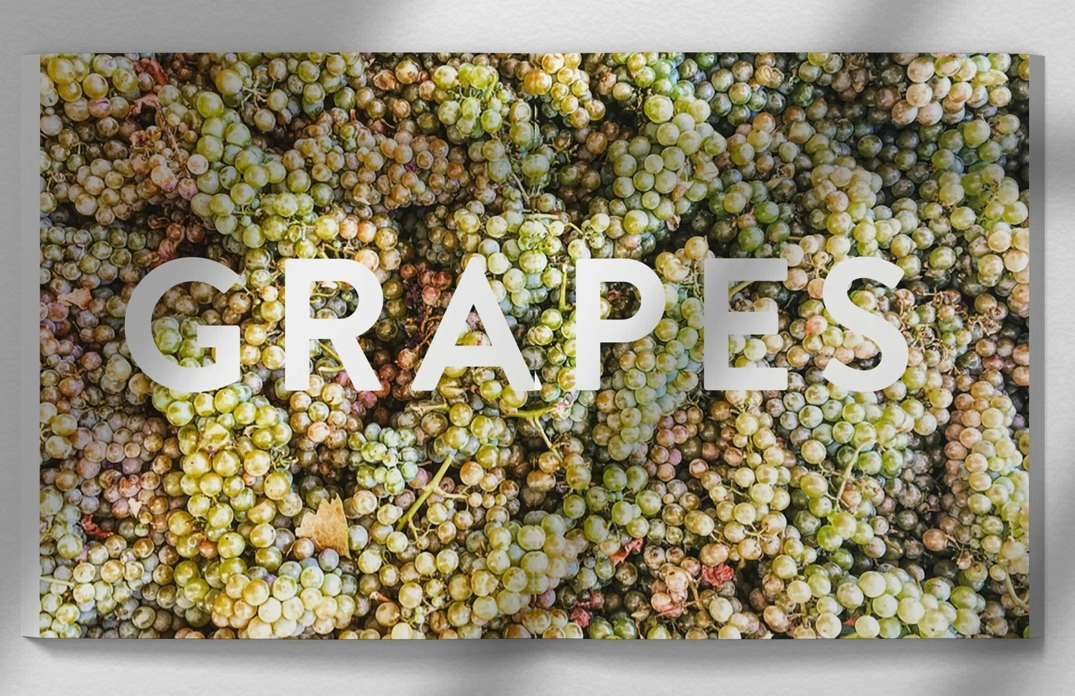 Grapes, Wine, Harvest,  Photographs David Sawyer Napa Valley California