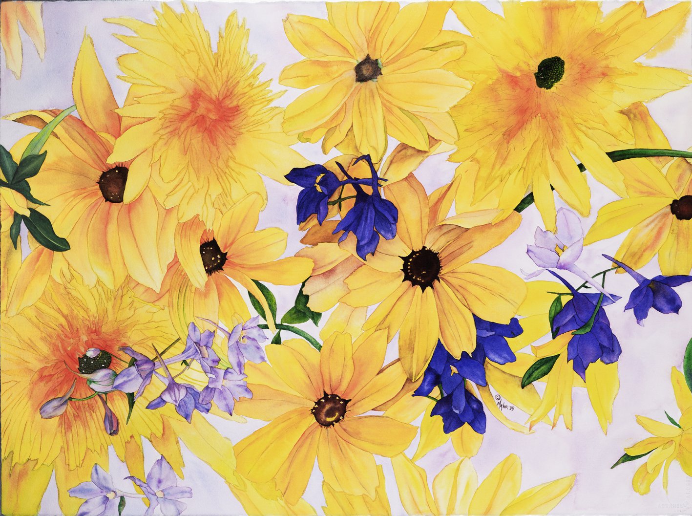 Rudbeckia1_mayer.jpeg