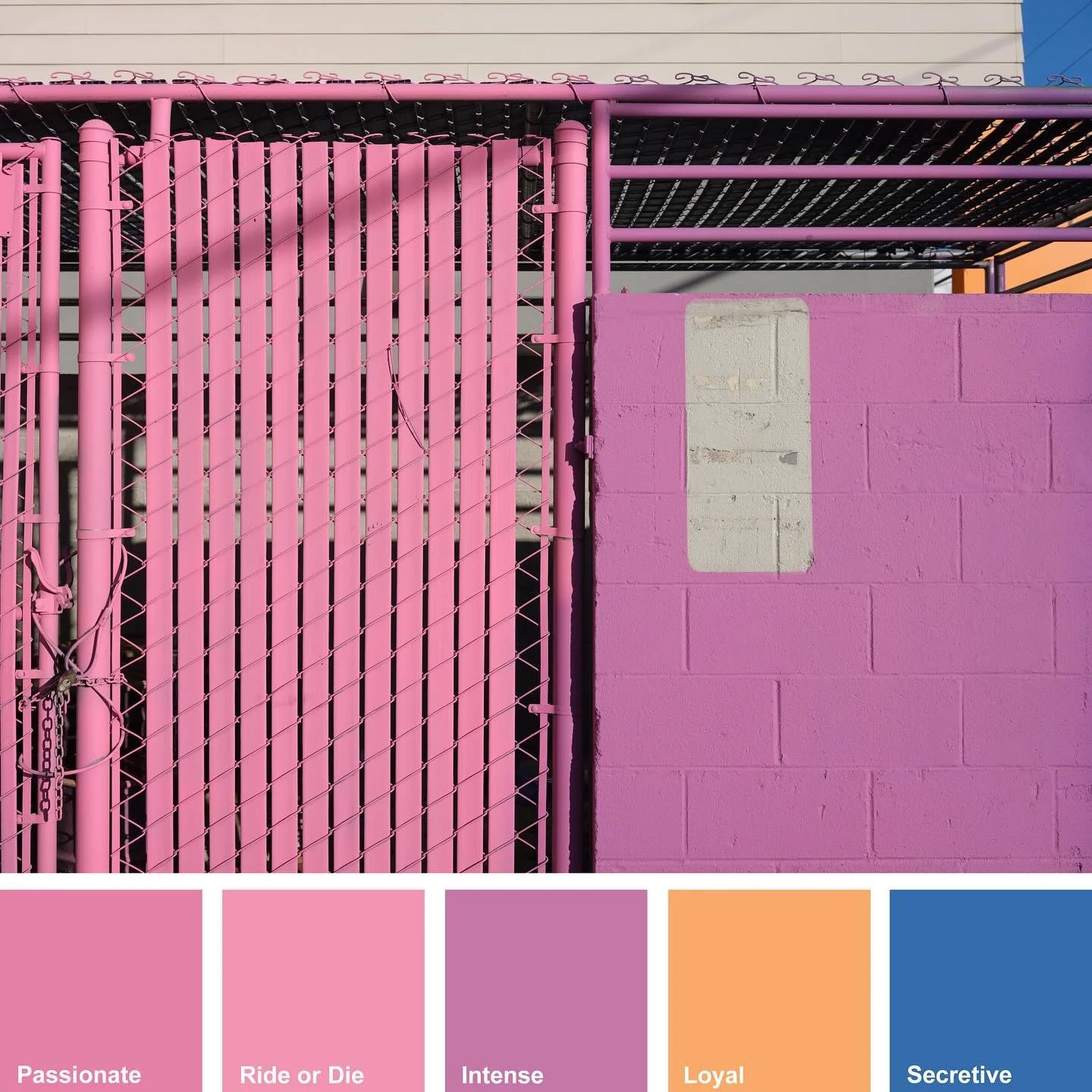 Scorpio Season 🦂
˘
˘
˘
˘
˘
˘(Color palette inspired by scorpio traits)
#colourstudy #greylessinseattle #greyless #ballard