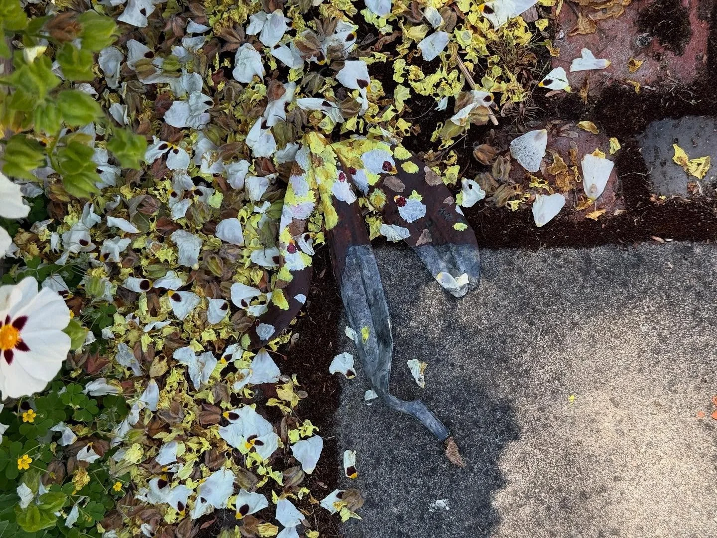 A new piece in progress, it&rsquo;s all bananas 🍌