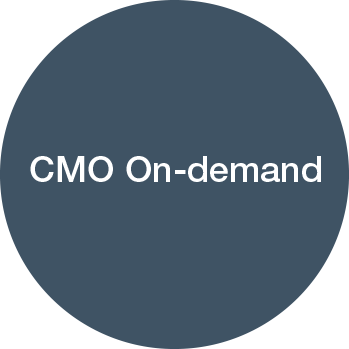  Provide executive-level expertise for specific projects or time periods.  Past engagements have ranged from the launch of a new brand at a major US retailer to contract management of marketing departments.  