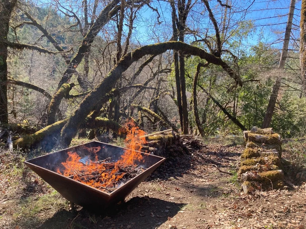 BIOchar — Institute for Sustainable Forestry