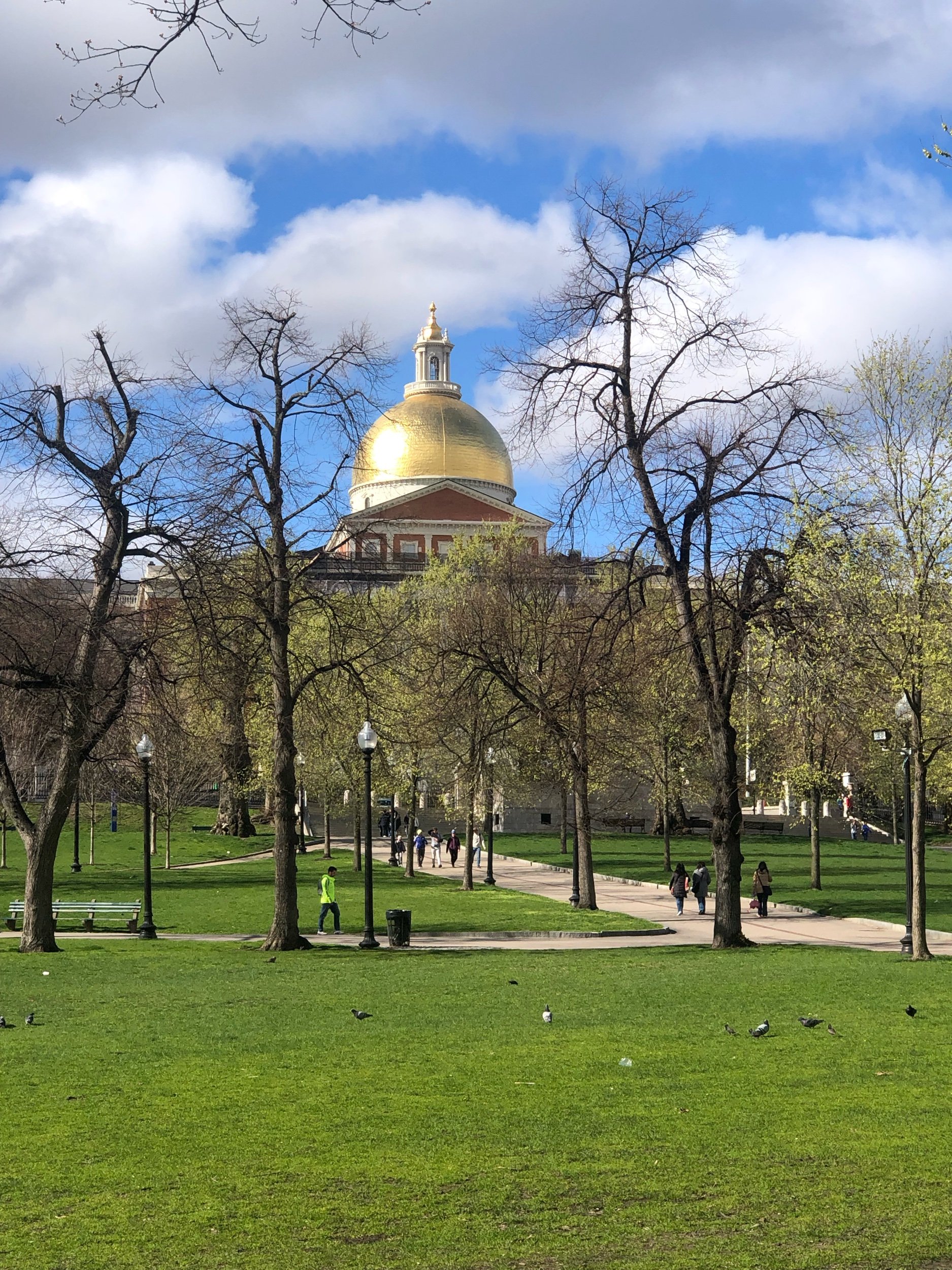 Boston, die junge gebildete Stadt
