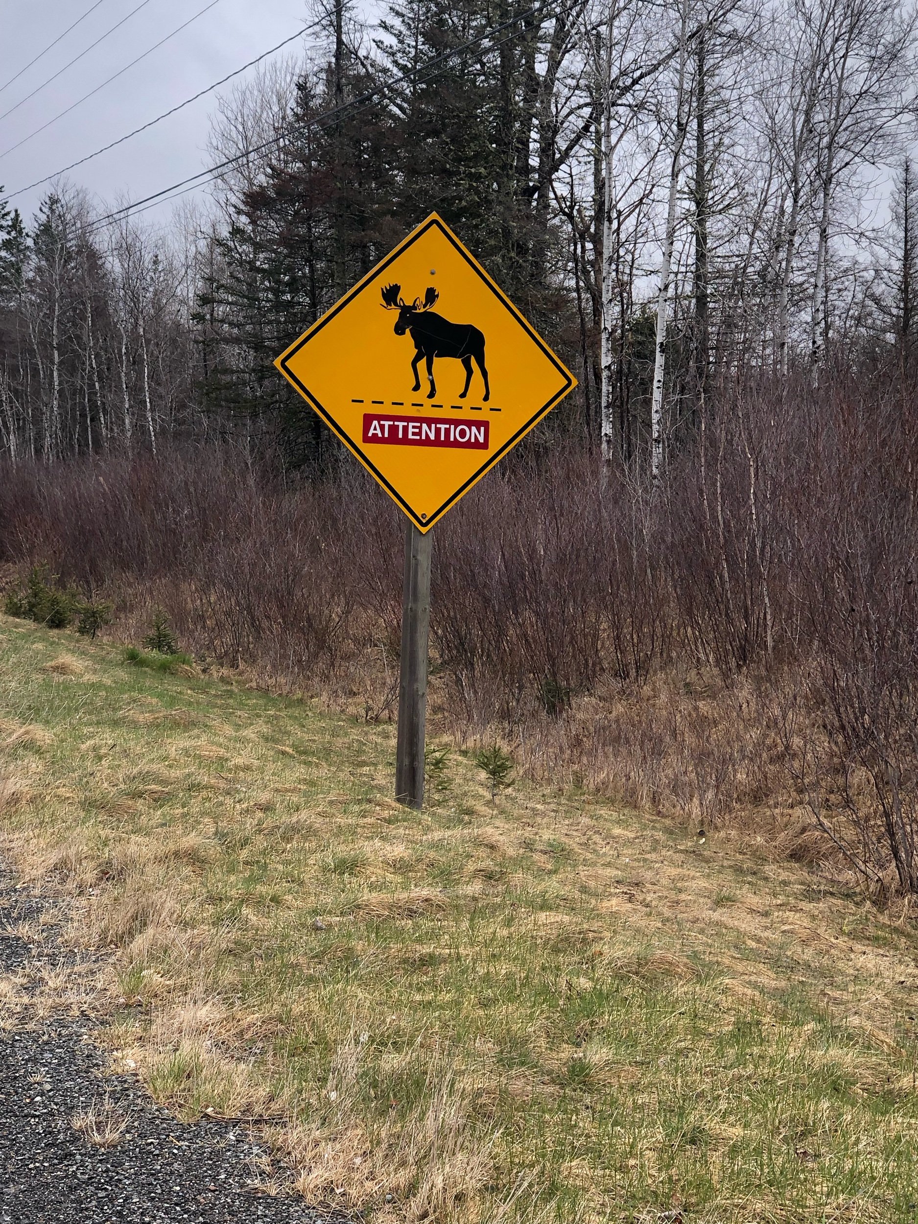 Canada Loop #1 - Calais/Maine - Fredericton/New Brunswick
