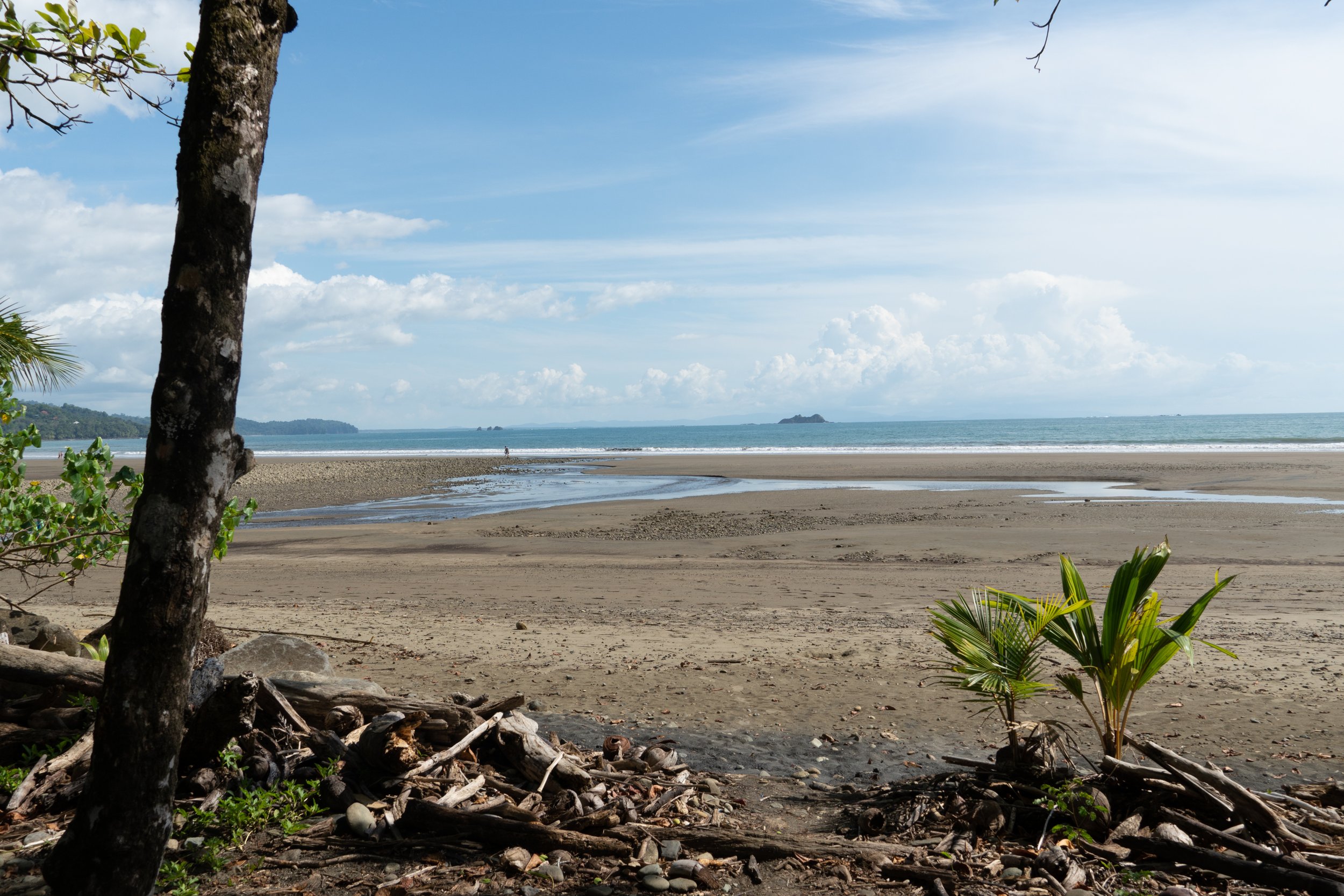 playahermosa.jpg