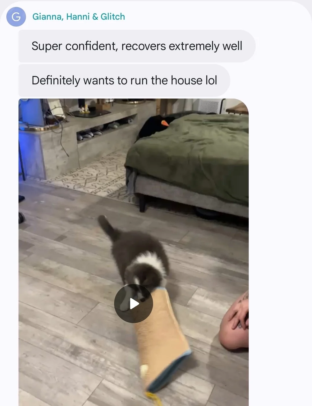 Screenshot_20260706_173900_Messages.jpg