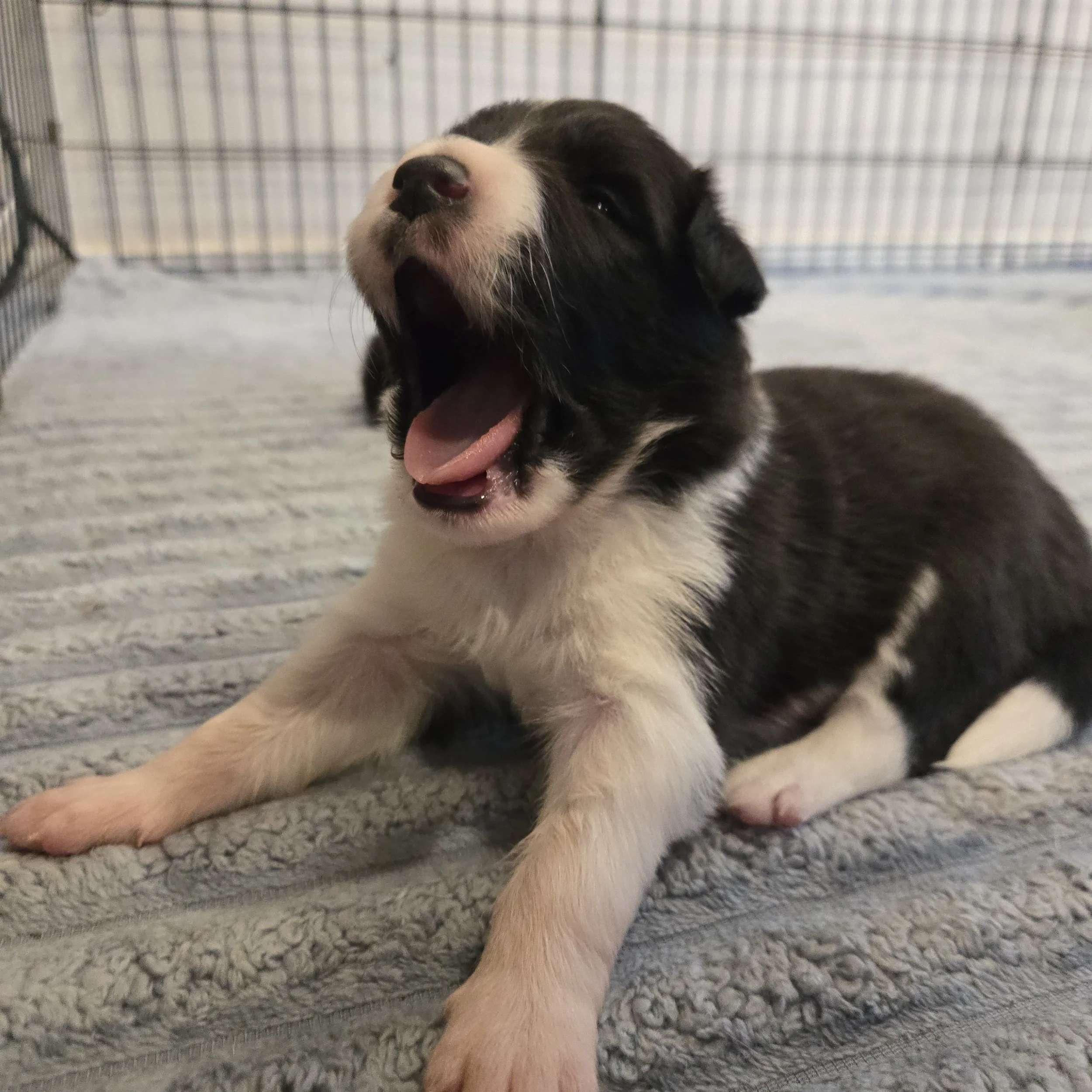 Black & White girl 2