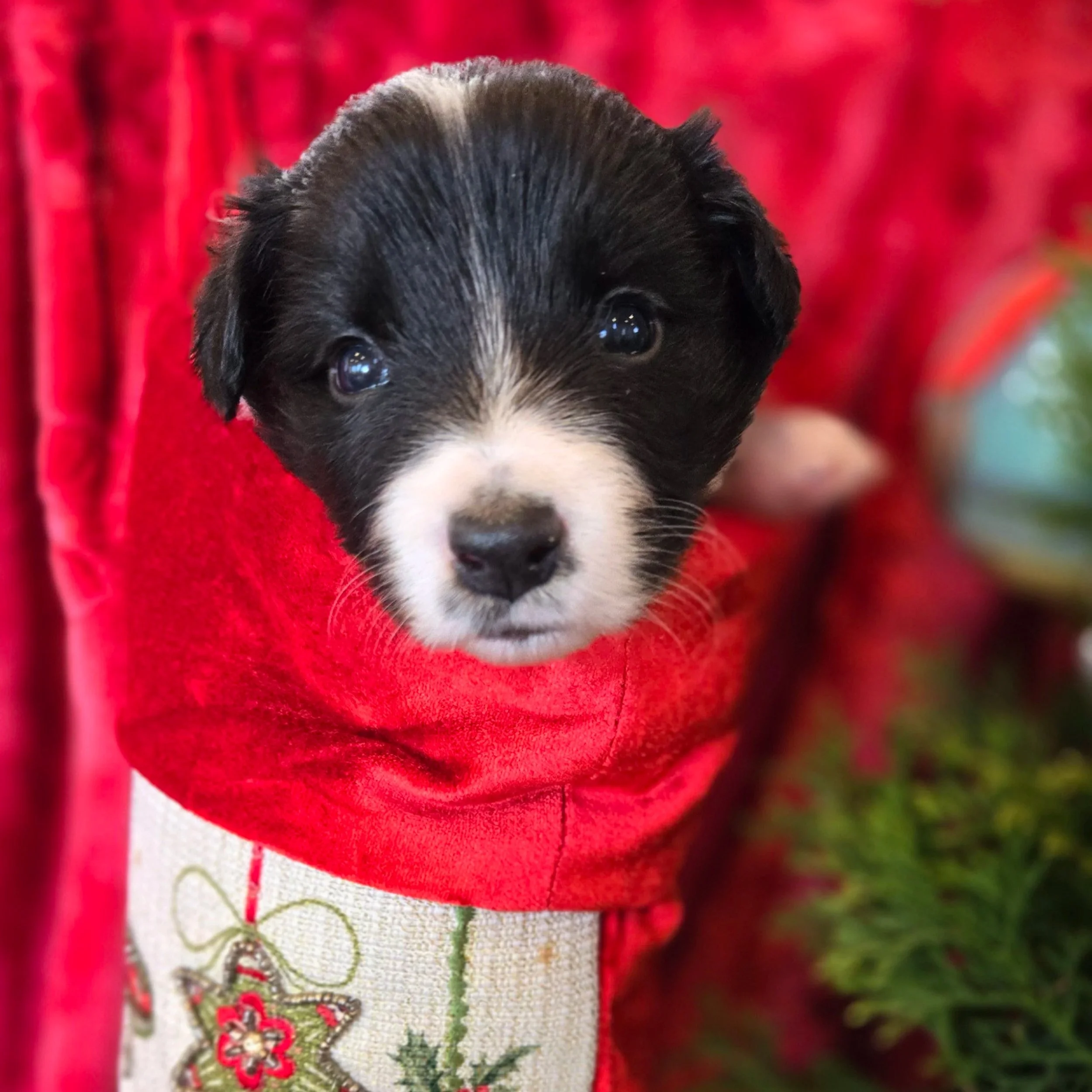 Black & White girl 2