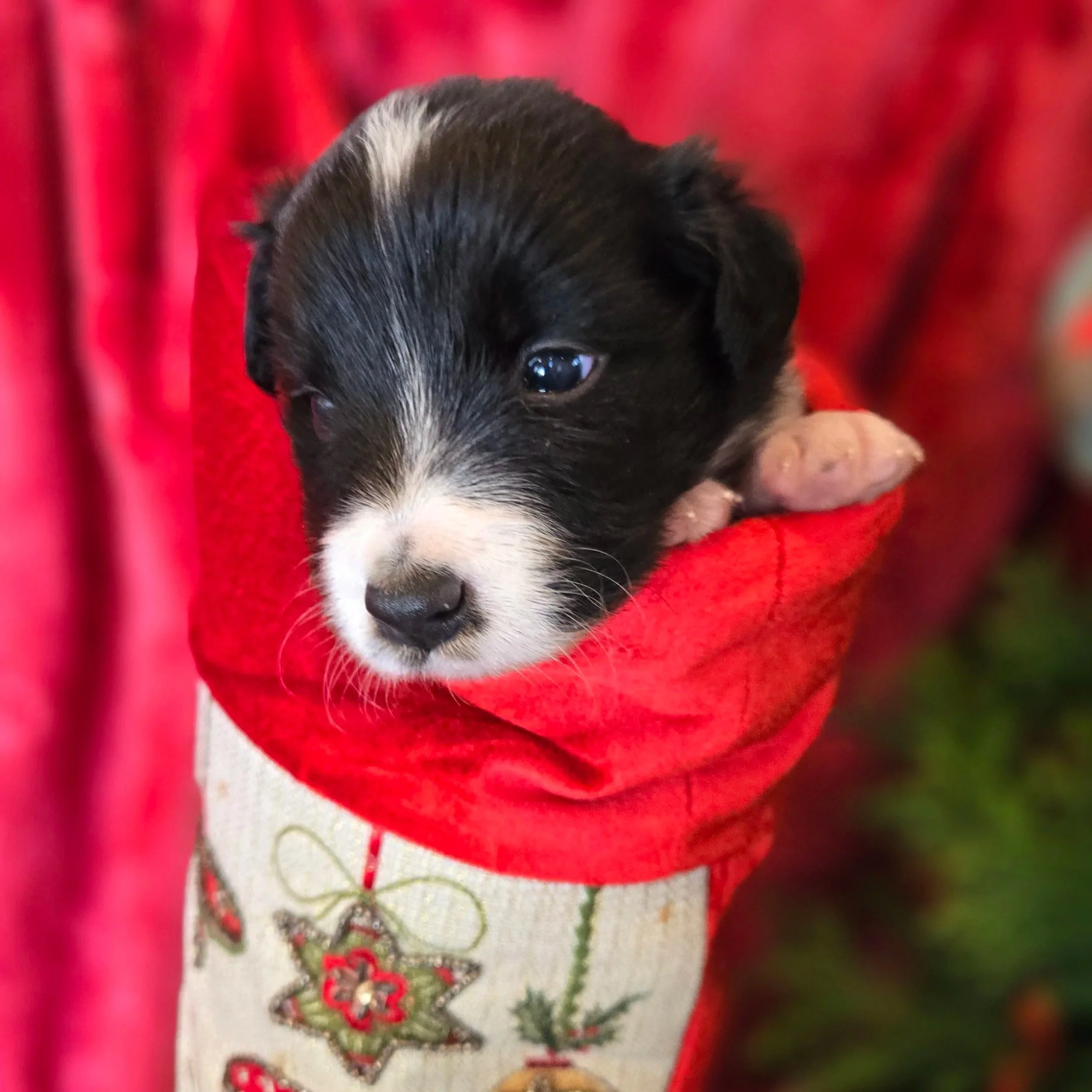 Black & White girl 2