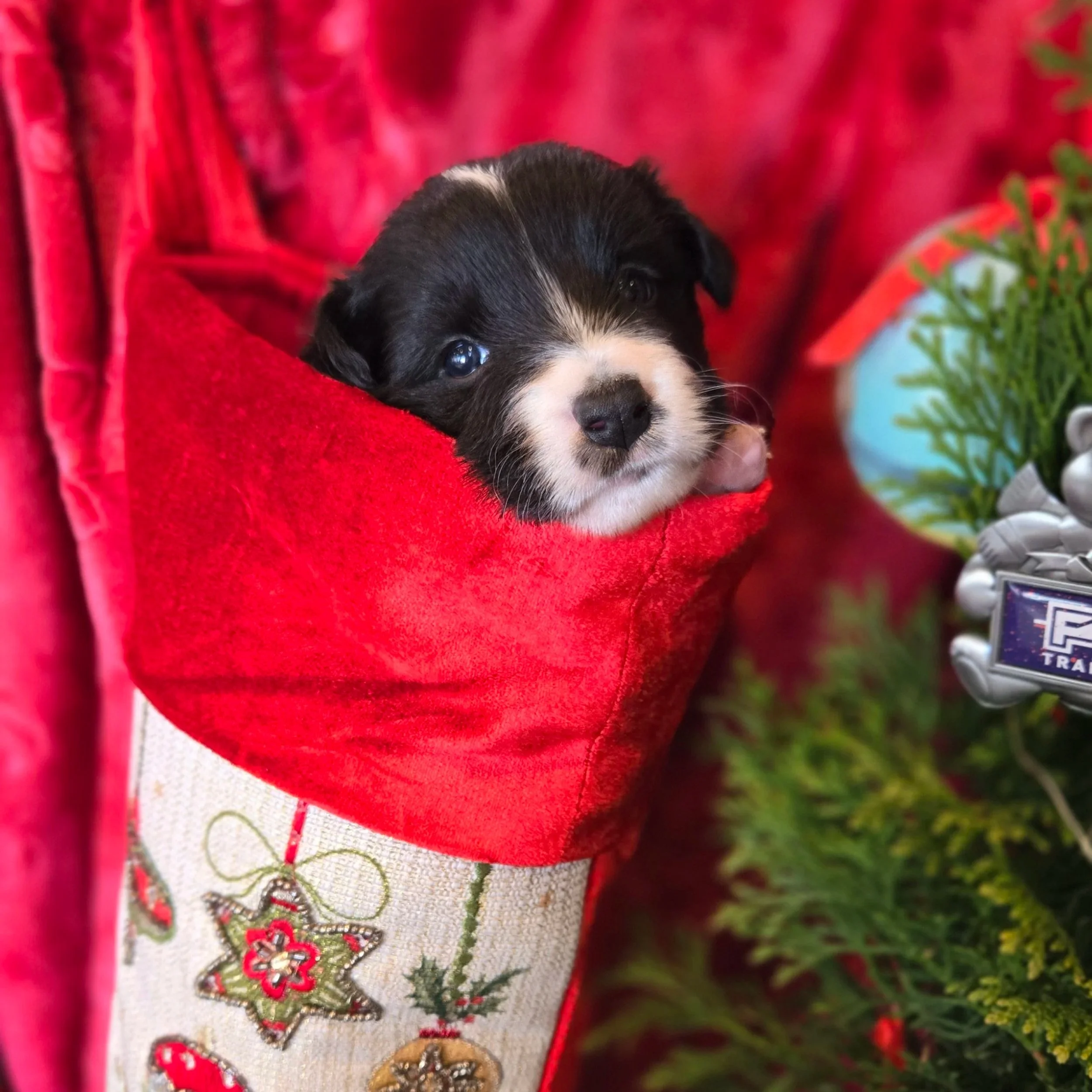 Black & White girl 2