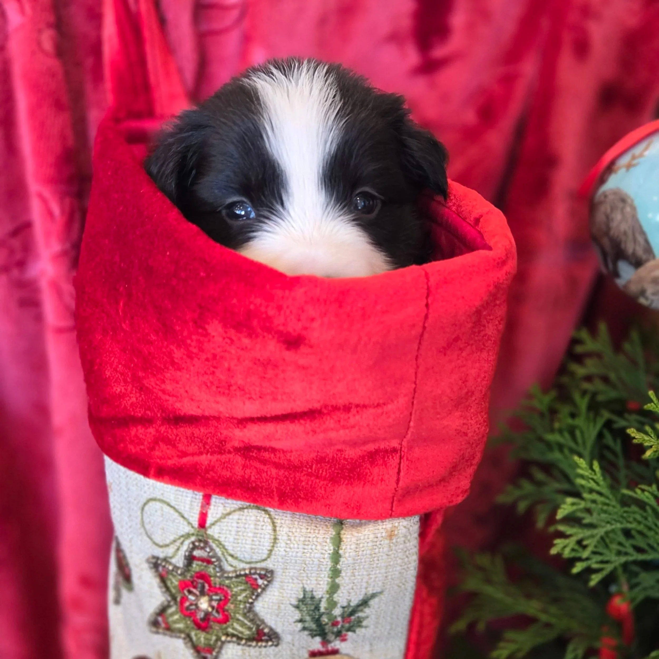 Black & White girl 1