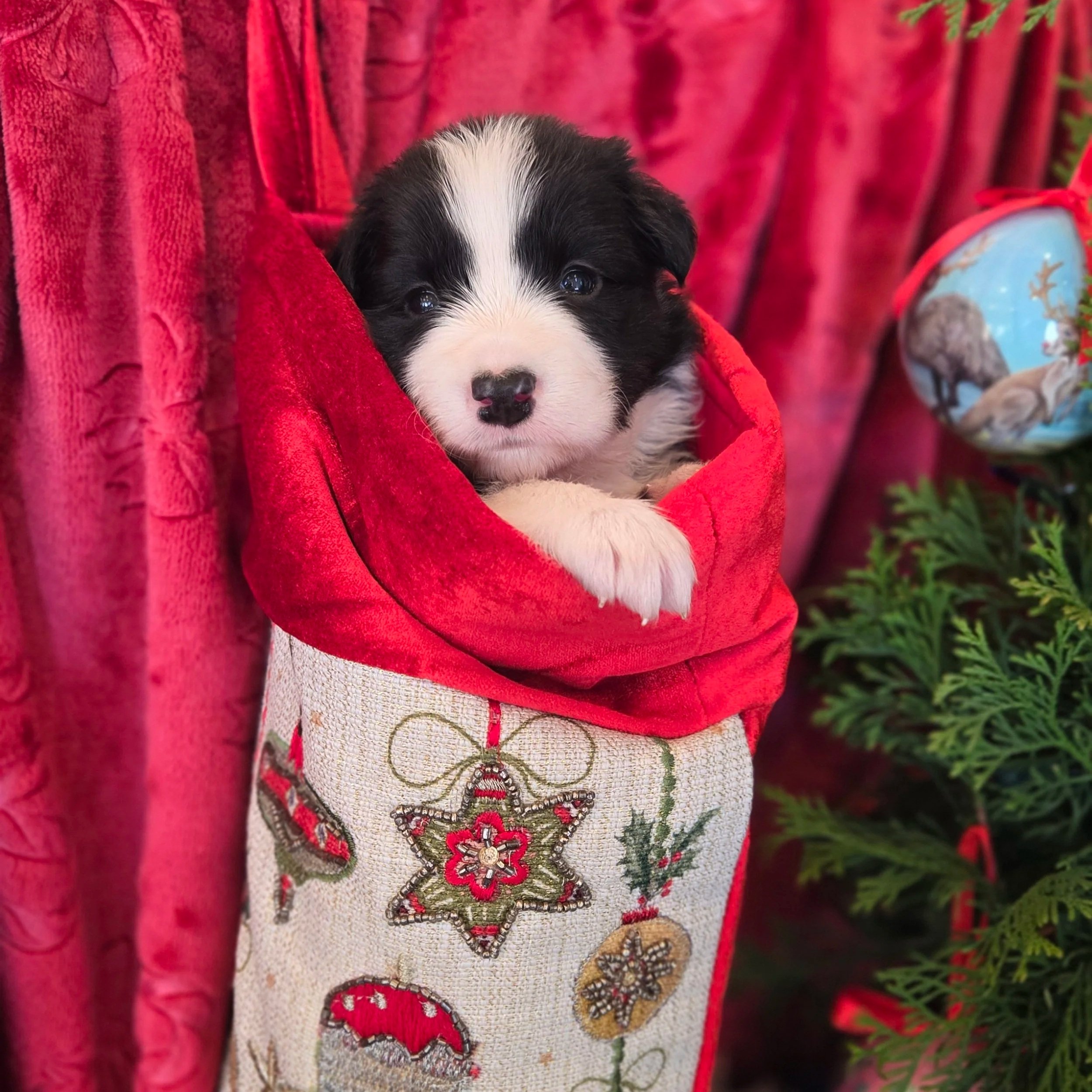 Black & White girl 1