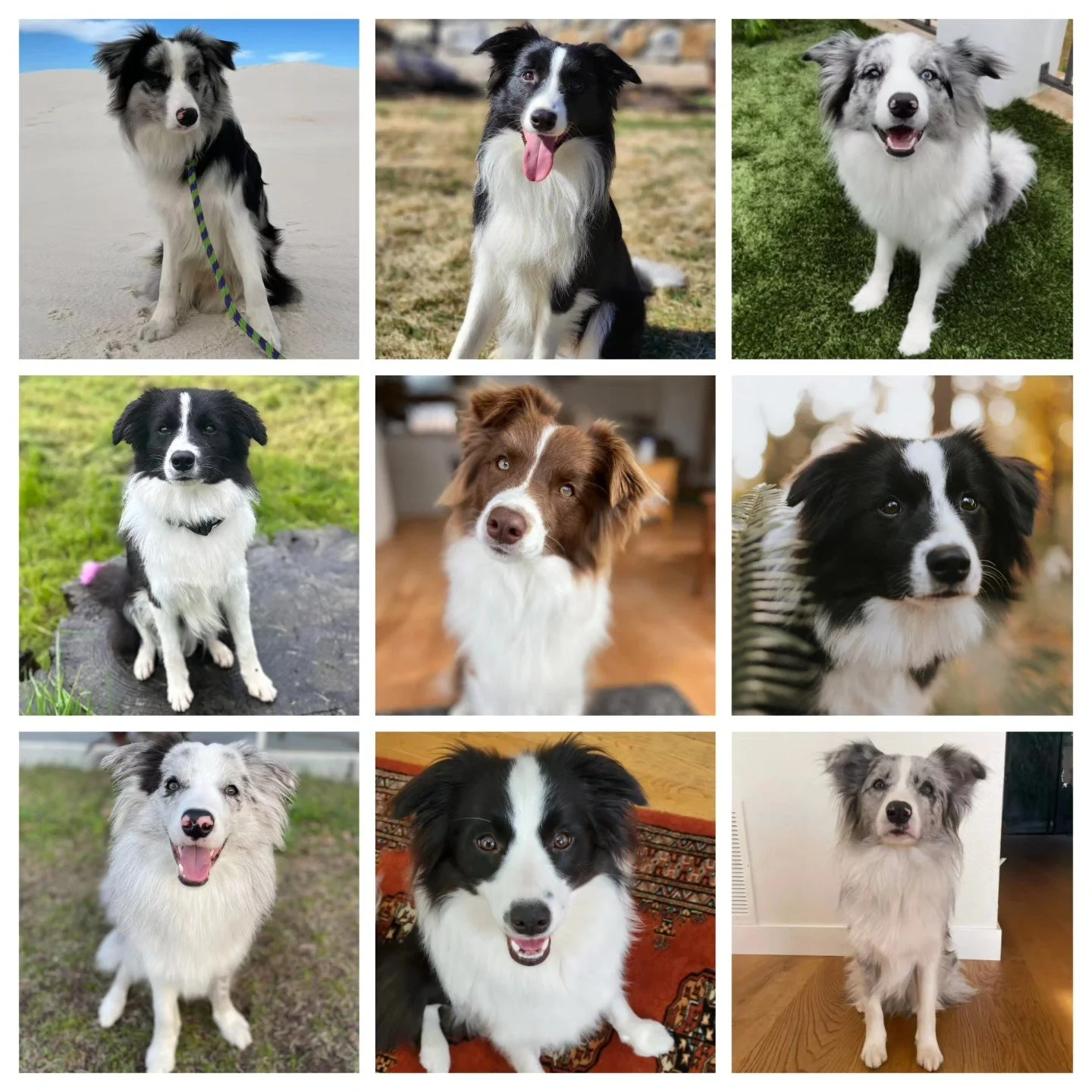 Happy 1st Birthday to these beautiful souls, and thank you to their families for taking such care of our little loves ❤️