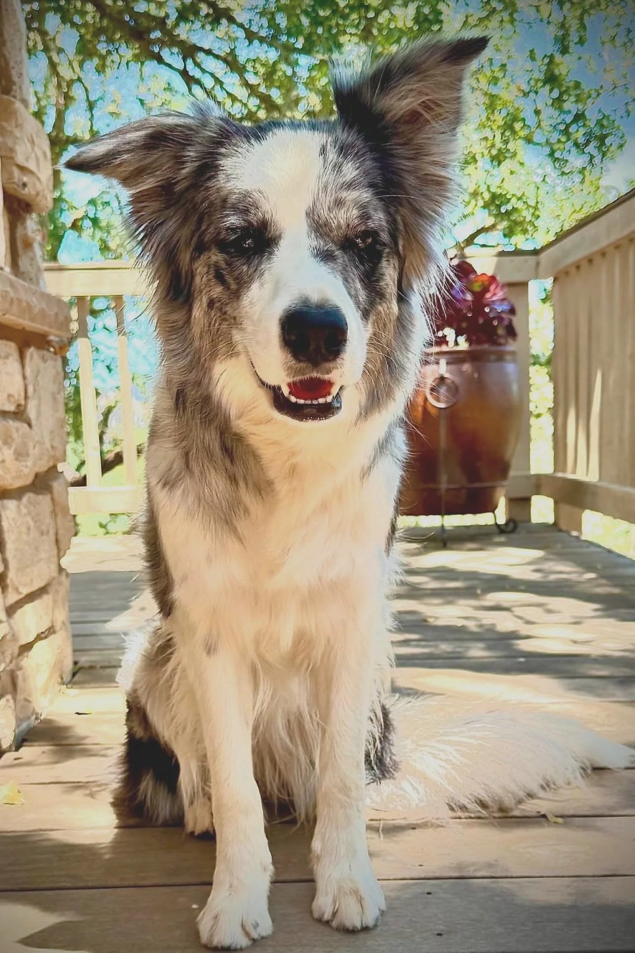 Indigo