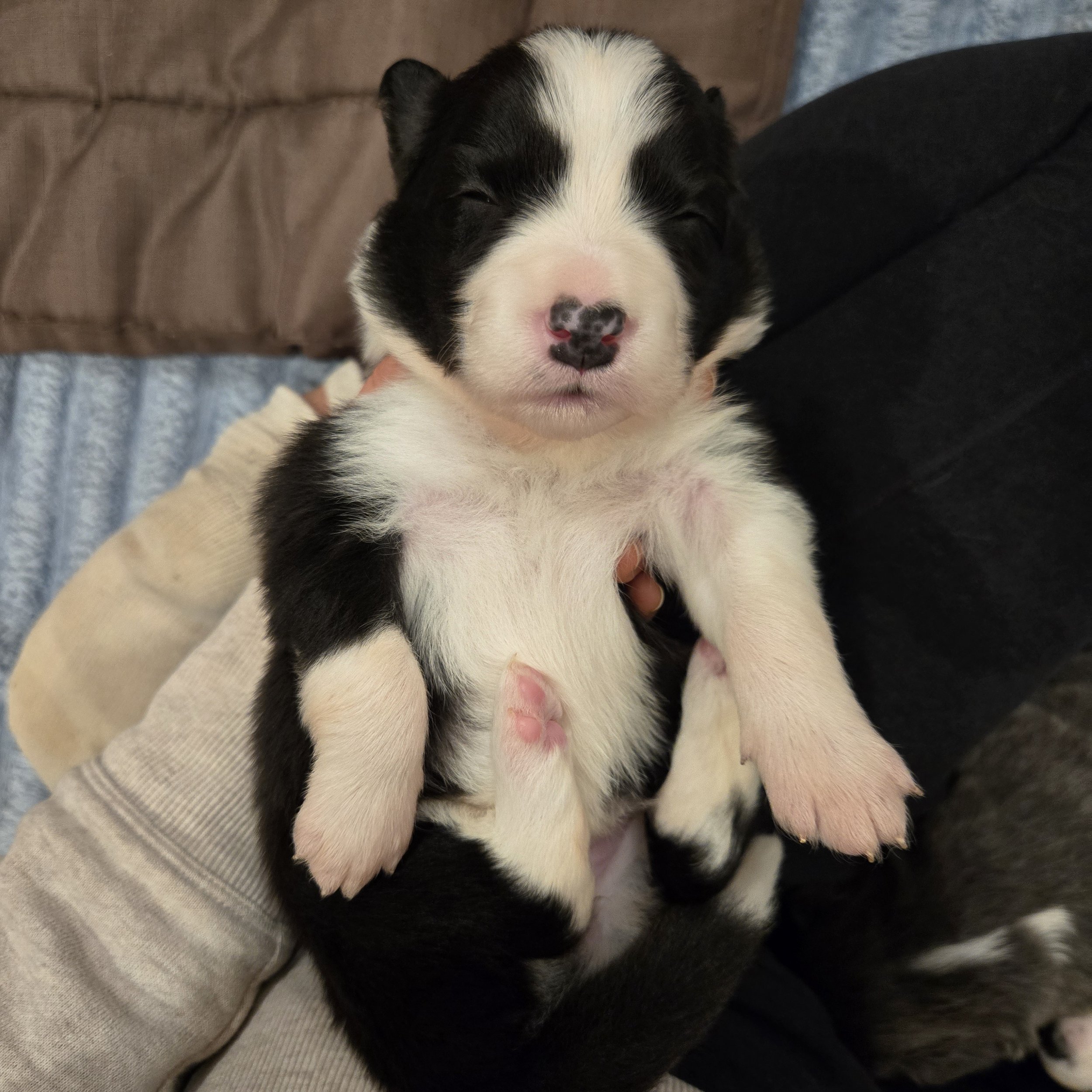 Black & White girl 1