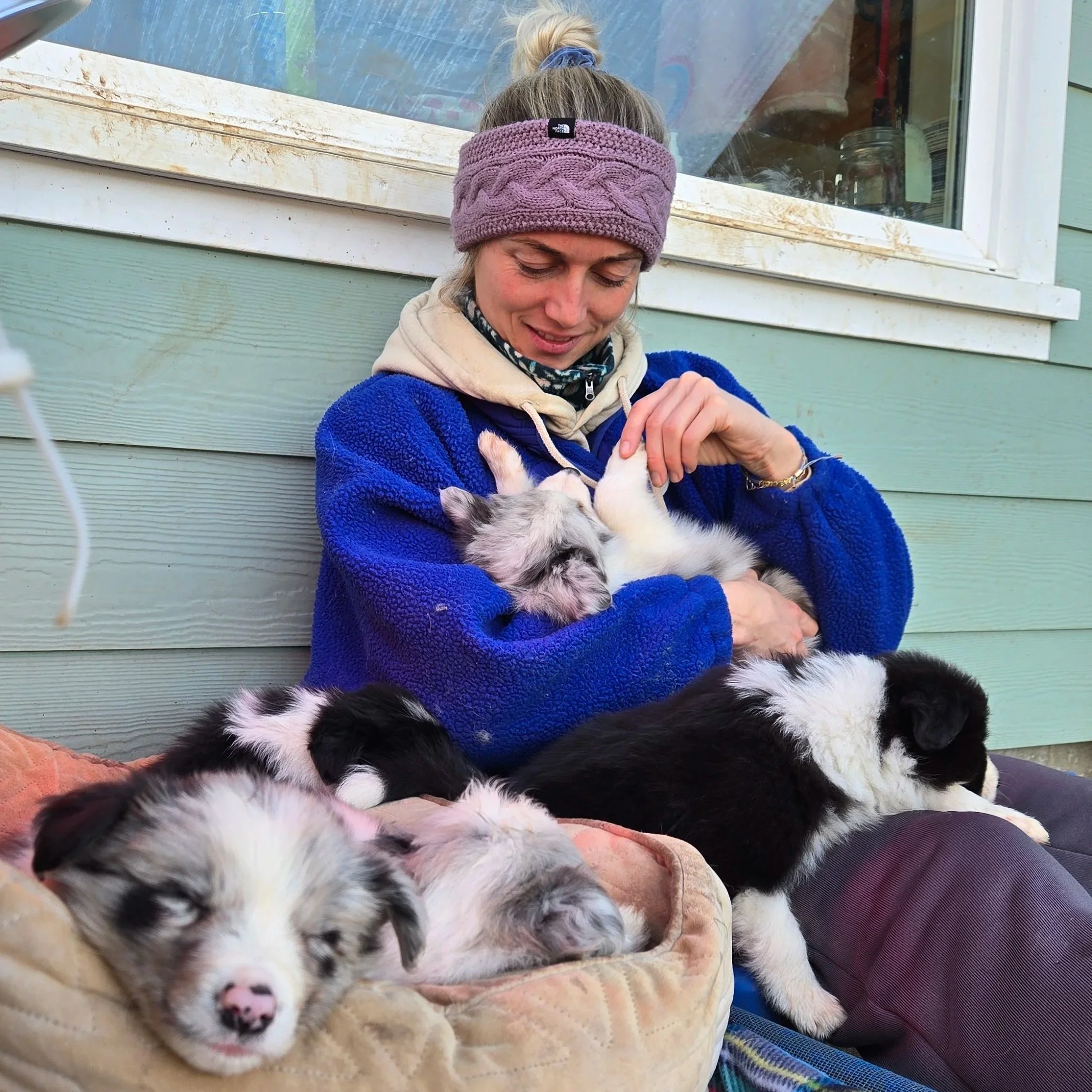 A woman with a purple knitted headband holding a small puppy with black, white, and gray fur and pink paws.