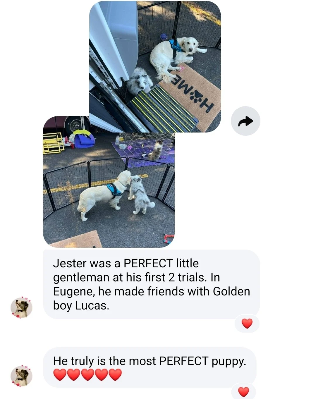 Screenshot_20260706_195138_Messenger.jpg