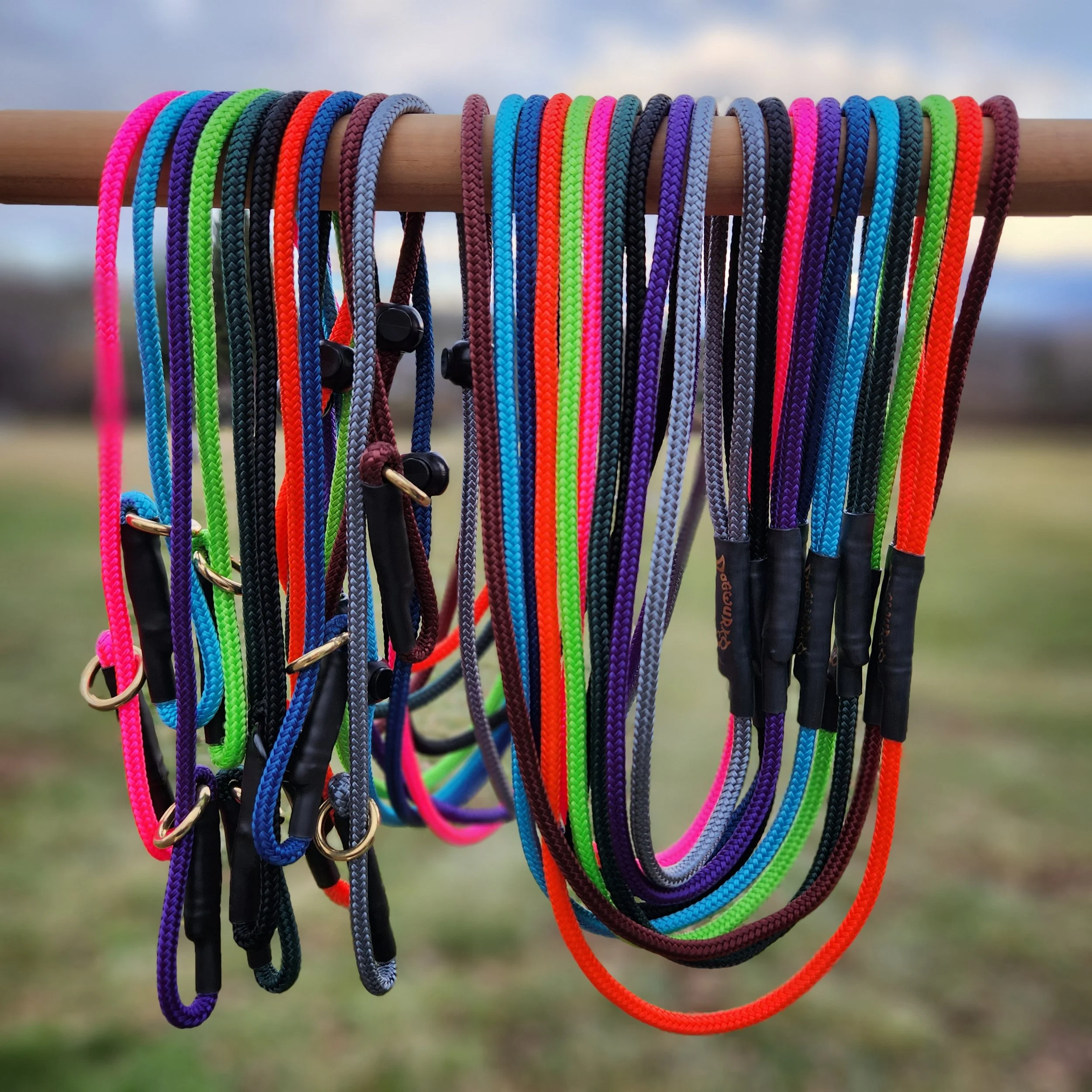 dog lead leash