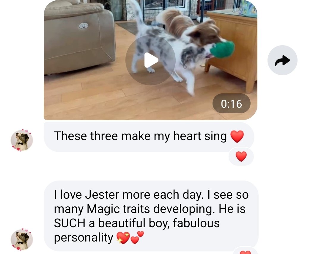Screenshot_20260706_195040_Messenger.jpg