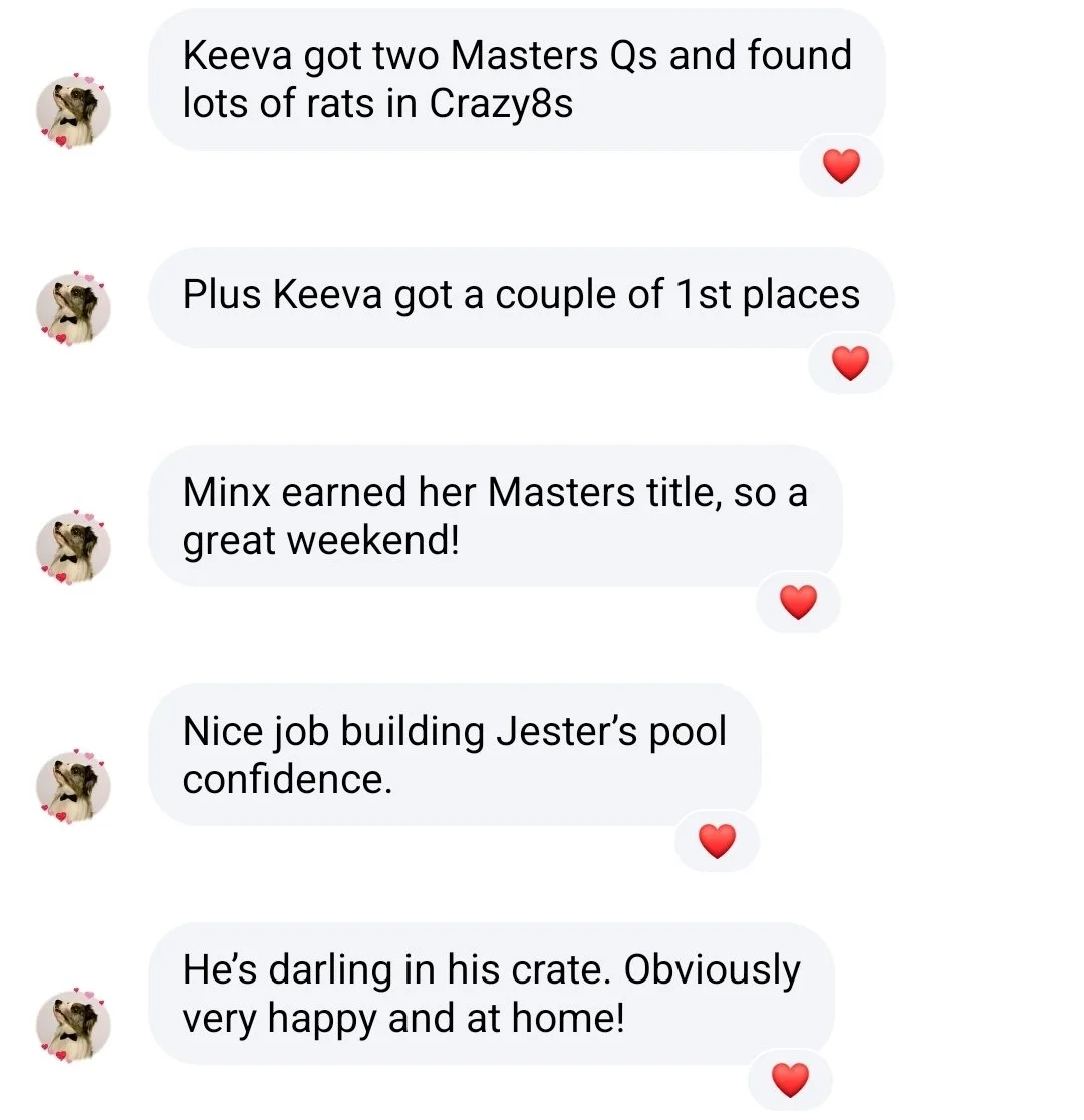 Screenshot_20260706_194925_Messenger.jpg