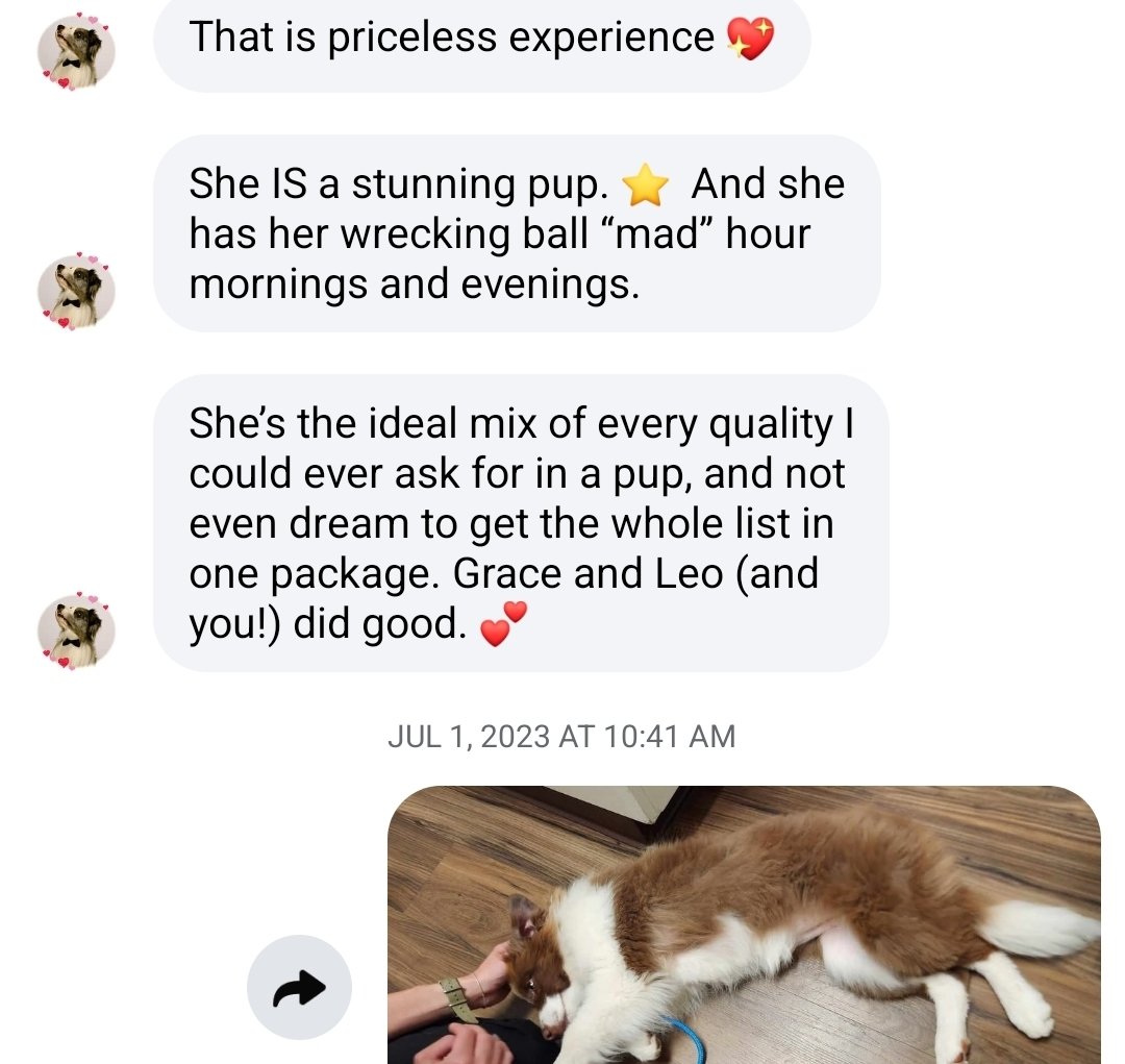 Screenshot_20260706_200907_Messenger.jpg