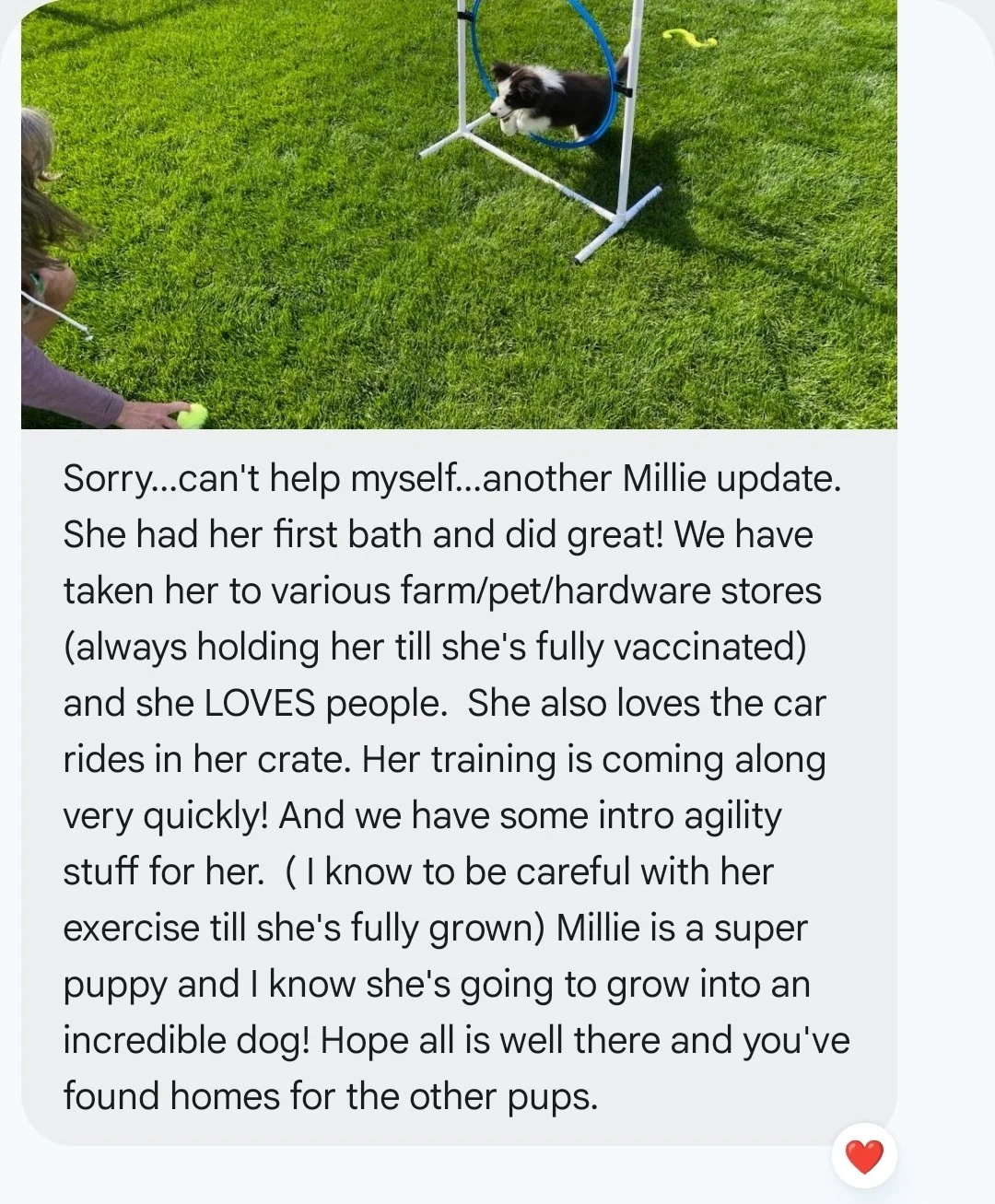 Screenshot_20260706_185640_Messages.jpg