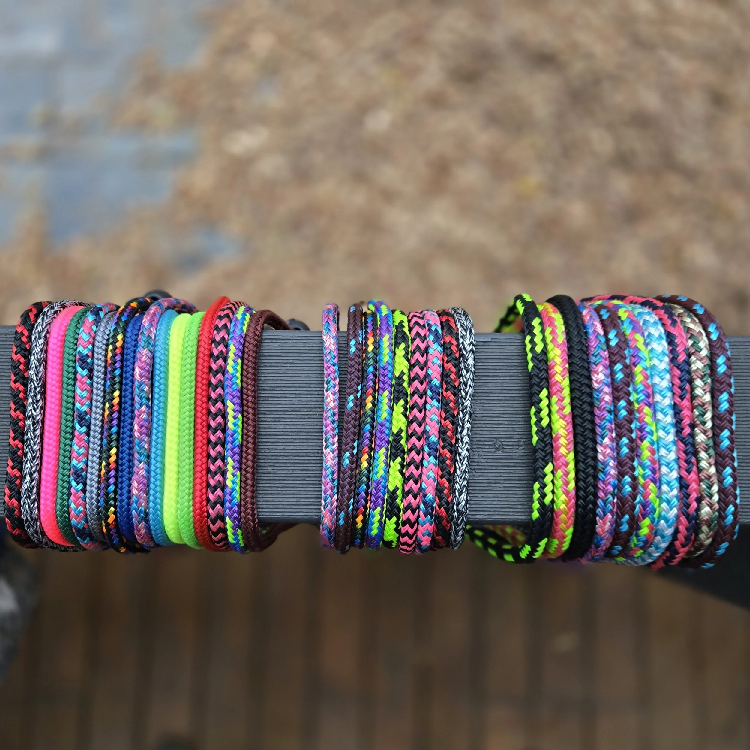 colourful dog leash
