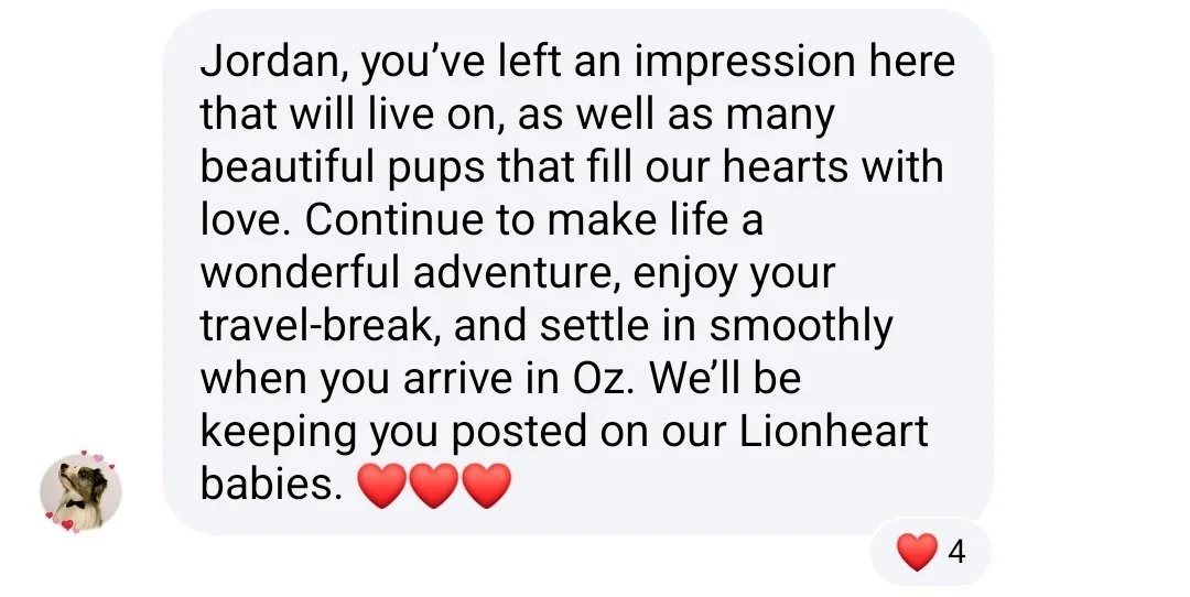 Screenshot_20260707_195406_Messenger.jpg