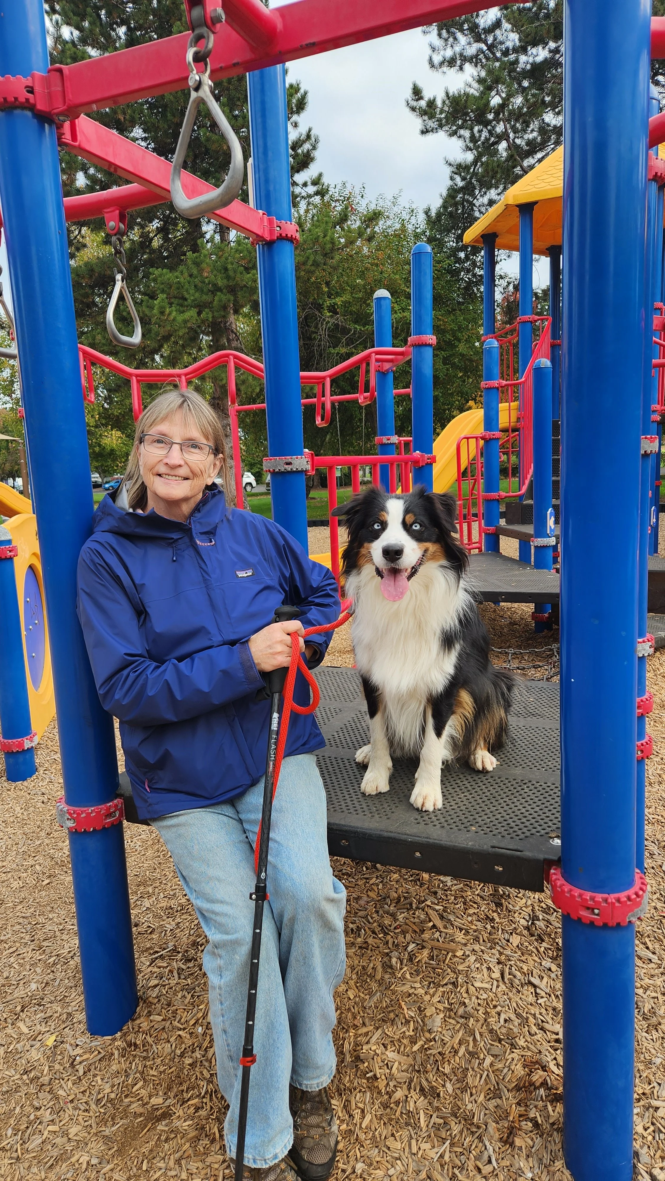 australia dog trainer dog training canberra