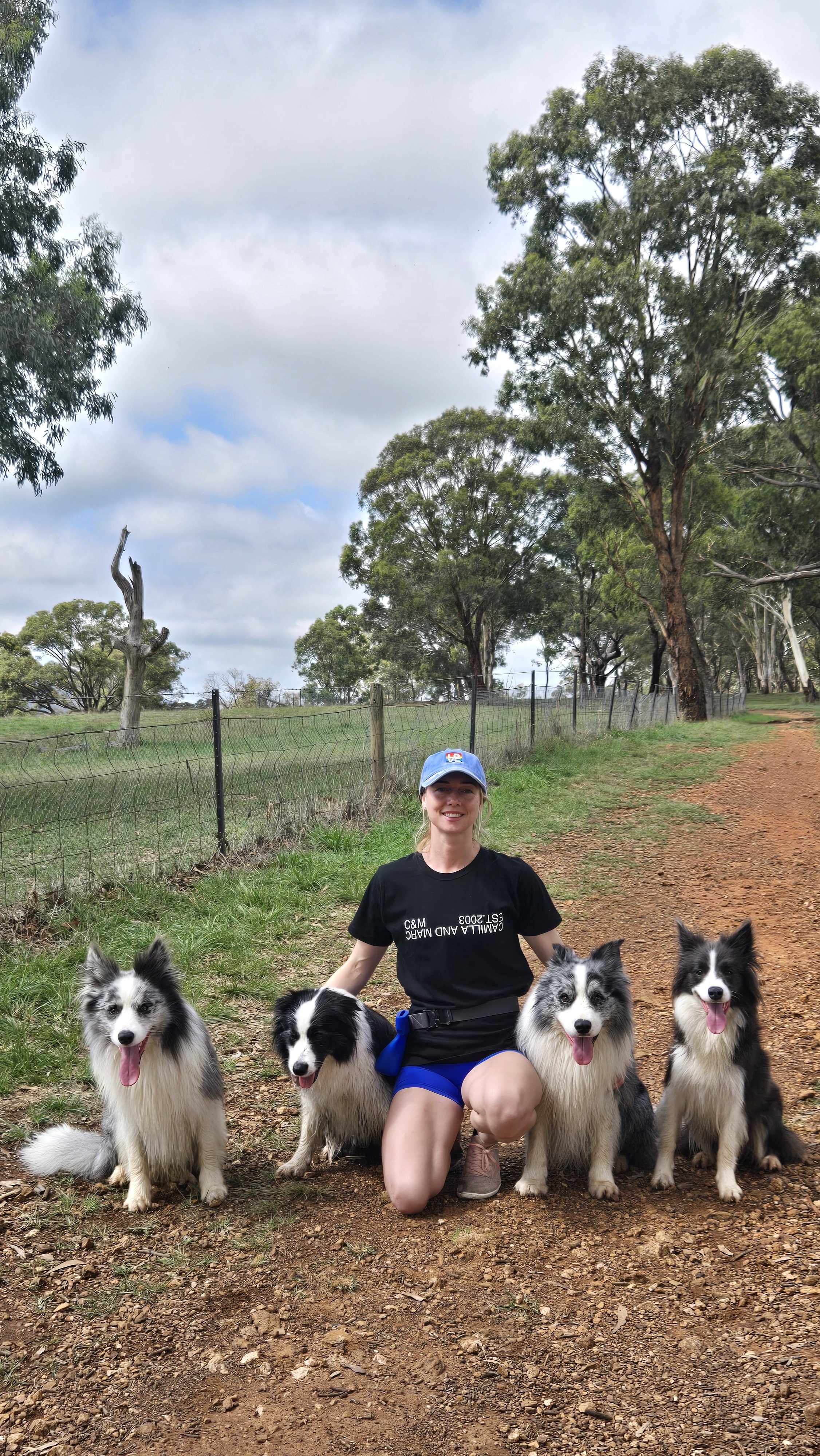 border collie breeder australia dog trainer dog training