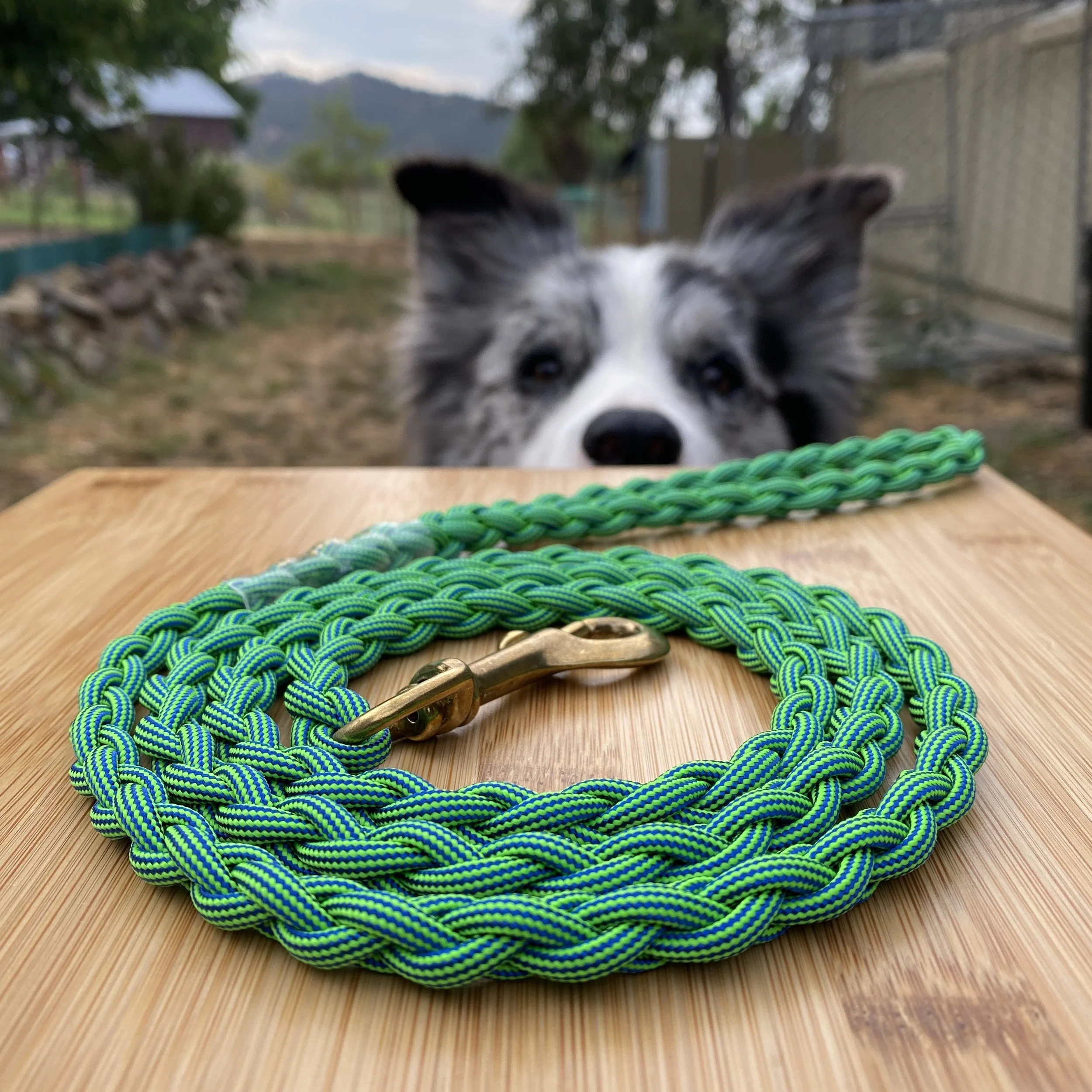 A close-up view of a black and white dog staring over a wooden table, with a green and blue braided rope toy and a metallic object on the table. The background includes outdoor scenery with trees, a stone wall, and mountains under a cloudy sky.