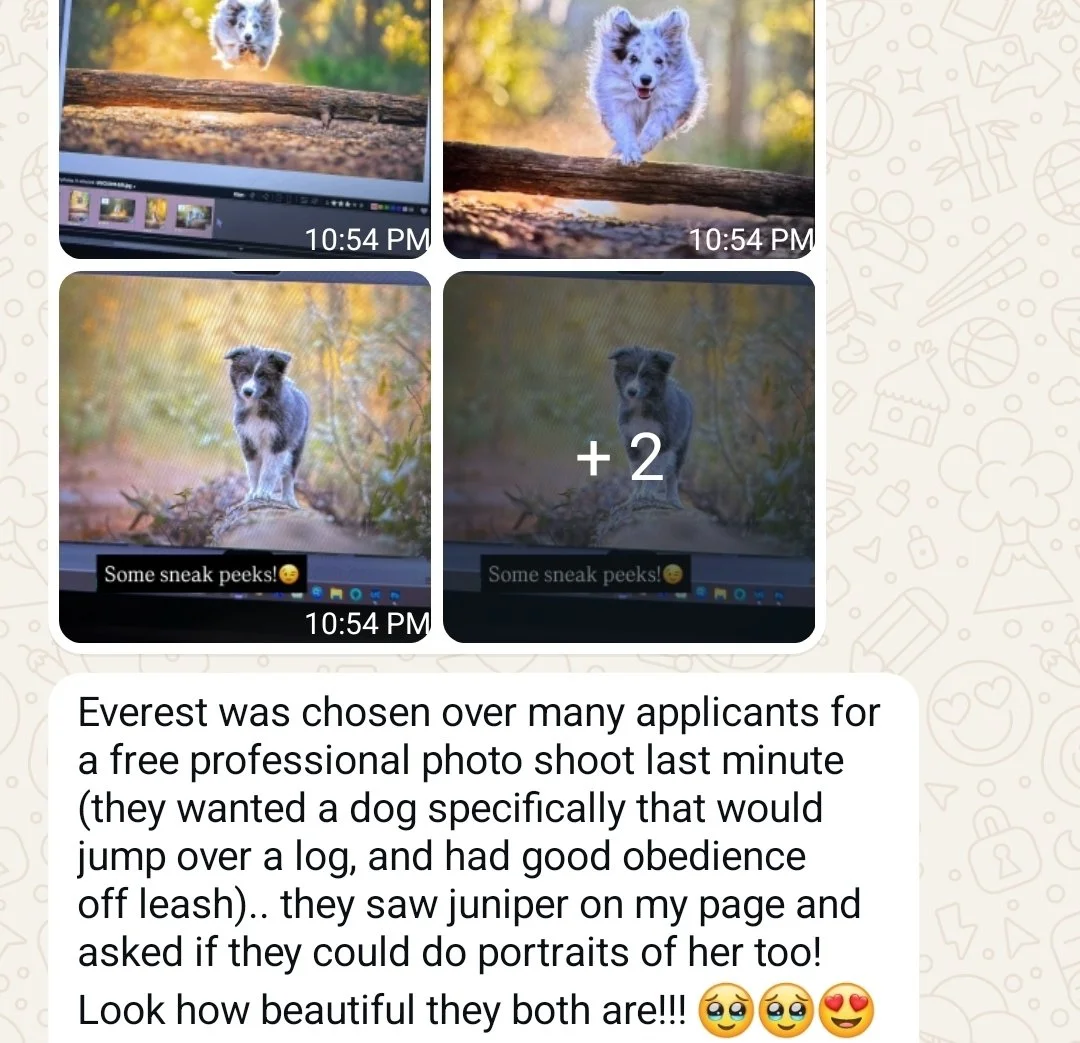 Screenshot_20260707_185922_WhatsApp.jpg
