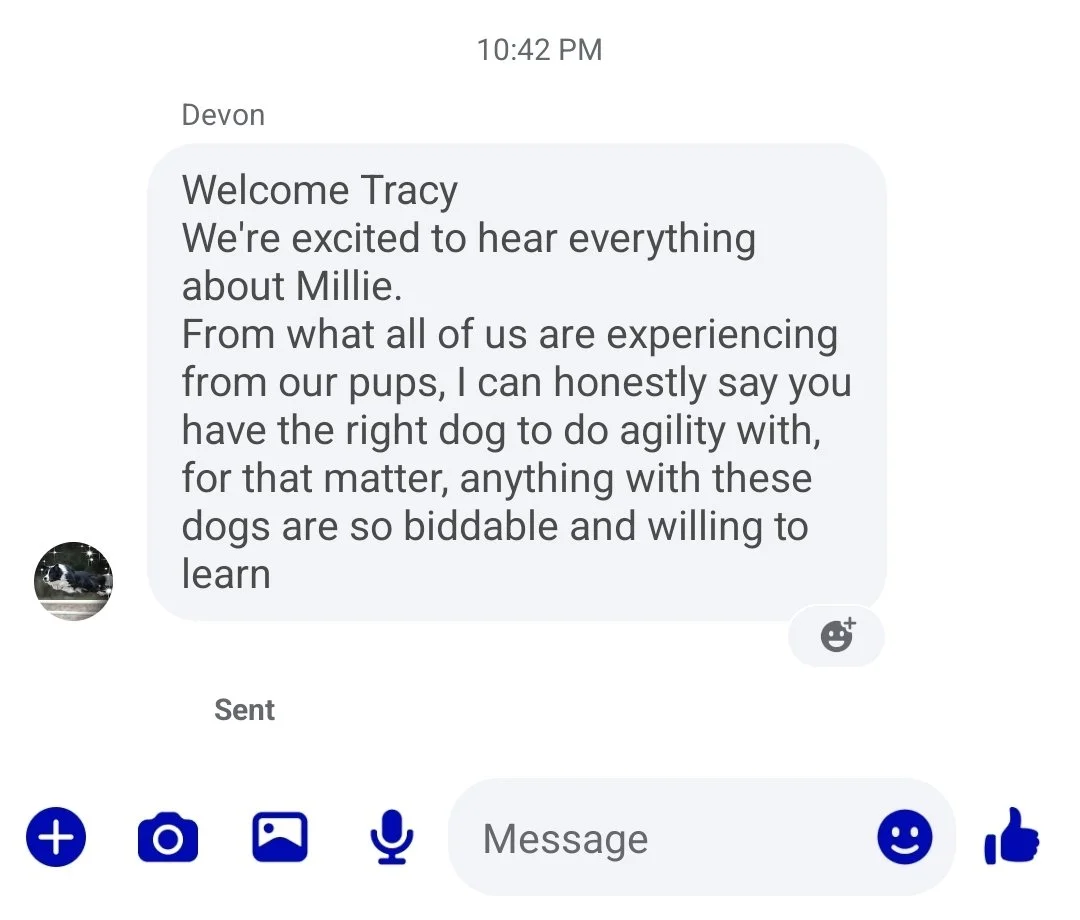 Screenshot_20260619_224326_Messenger.jpg