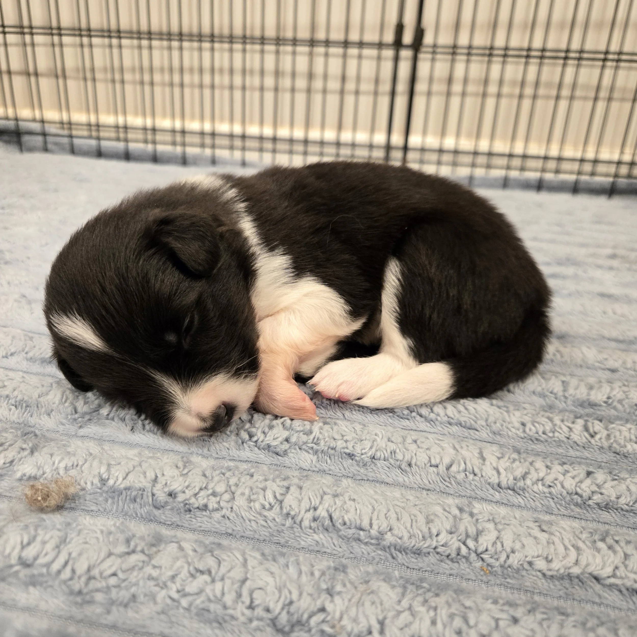 Black & White girl 2