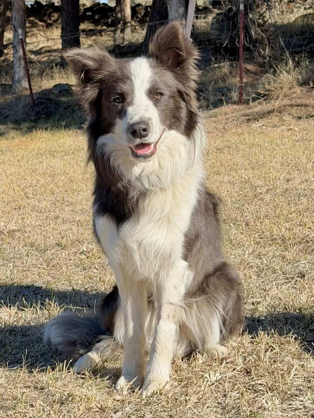 Nash