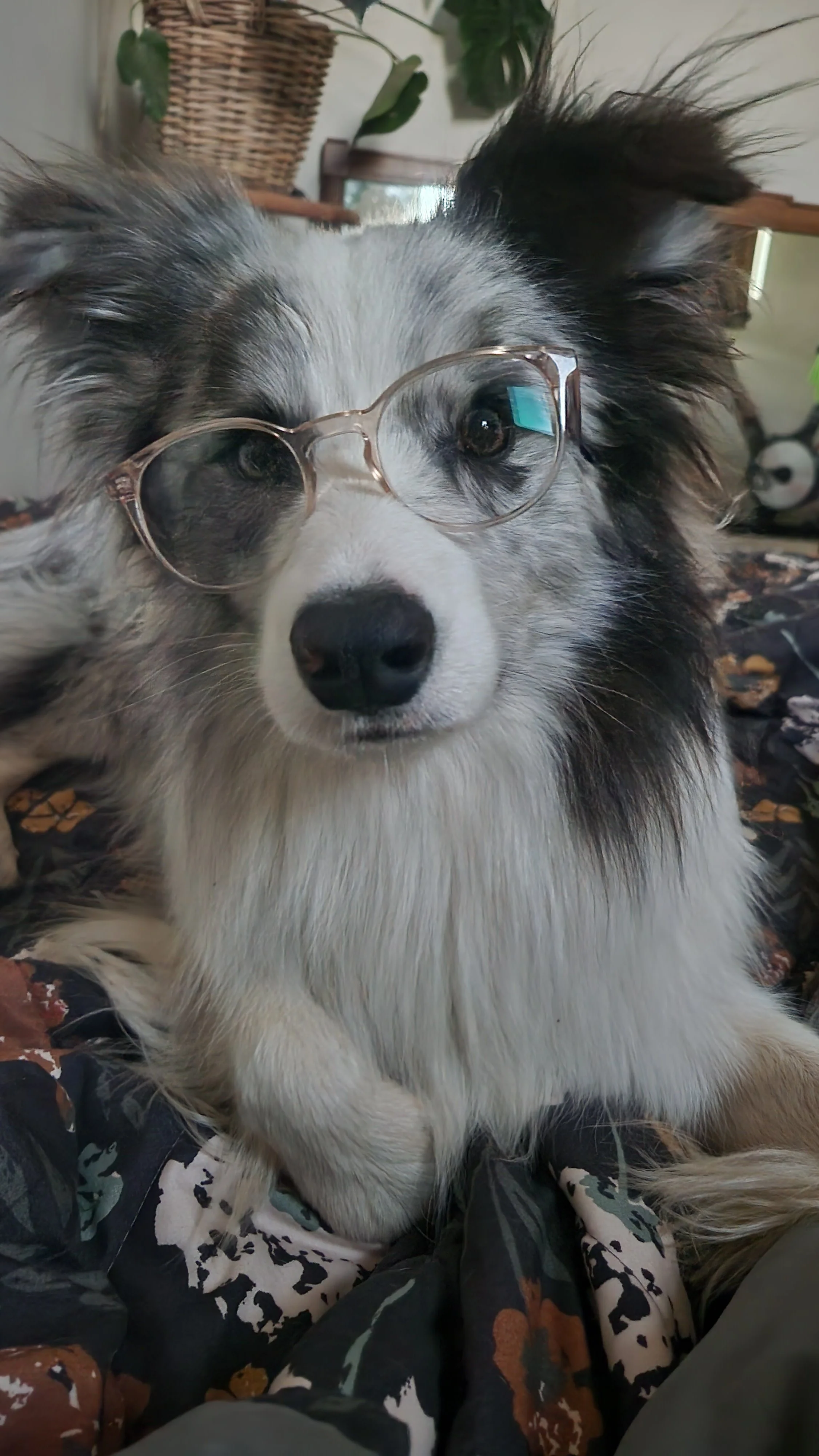 20230914_192537.jpg