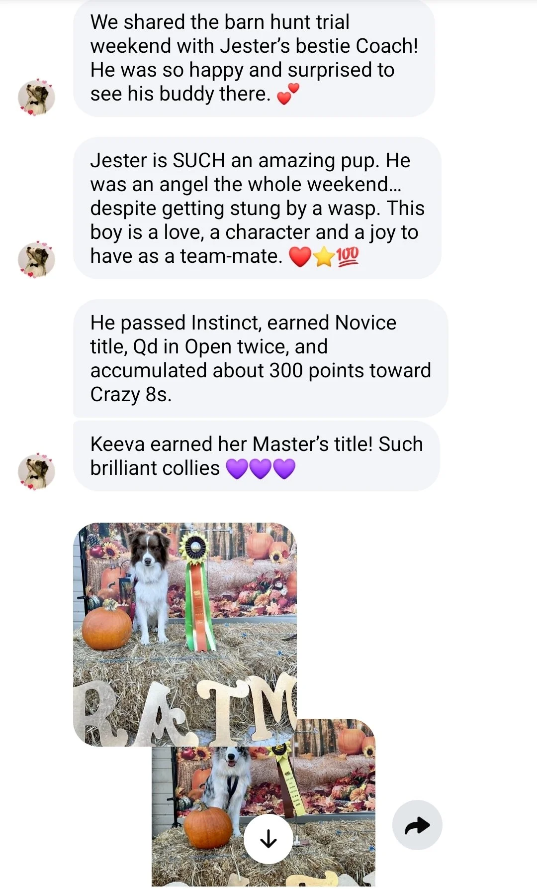 Screenshot_20260706_194810_Messenger.jpg