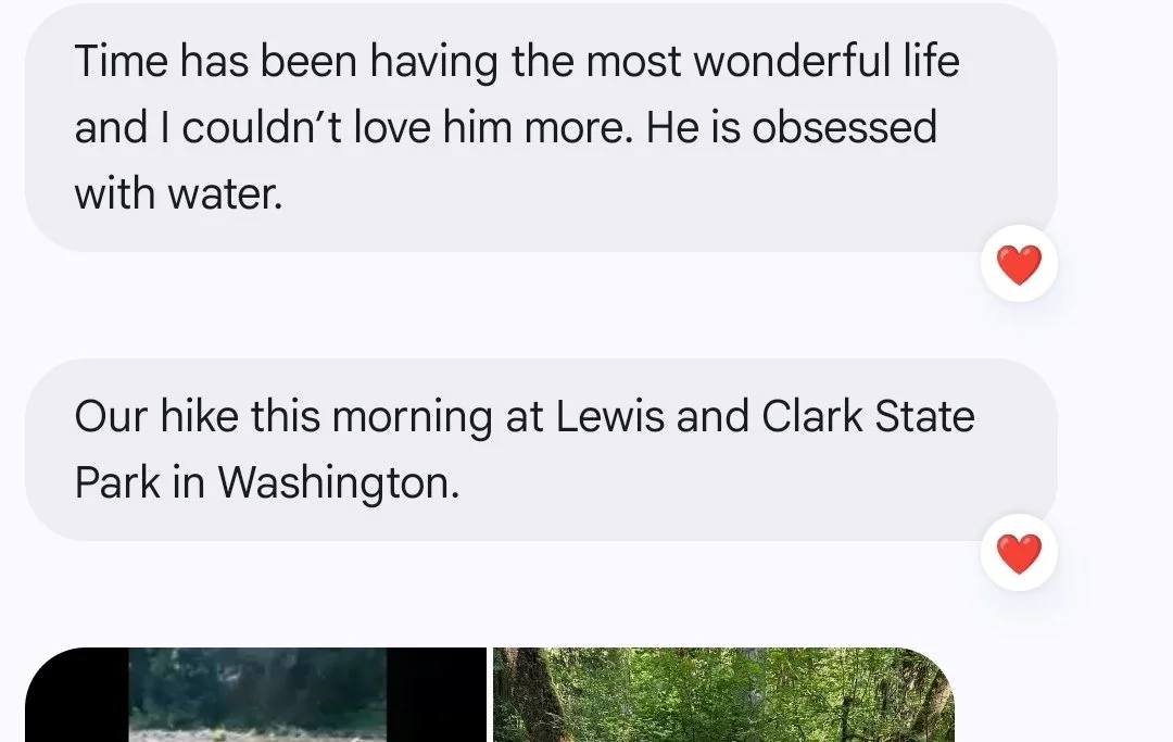 Screenshot_20260706_190325_Messages.jpg
