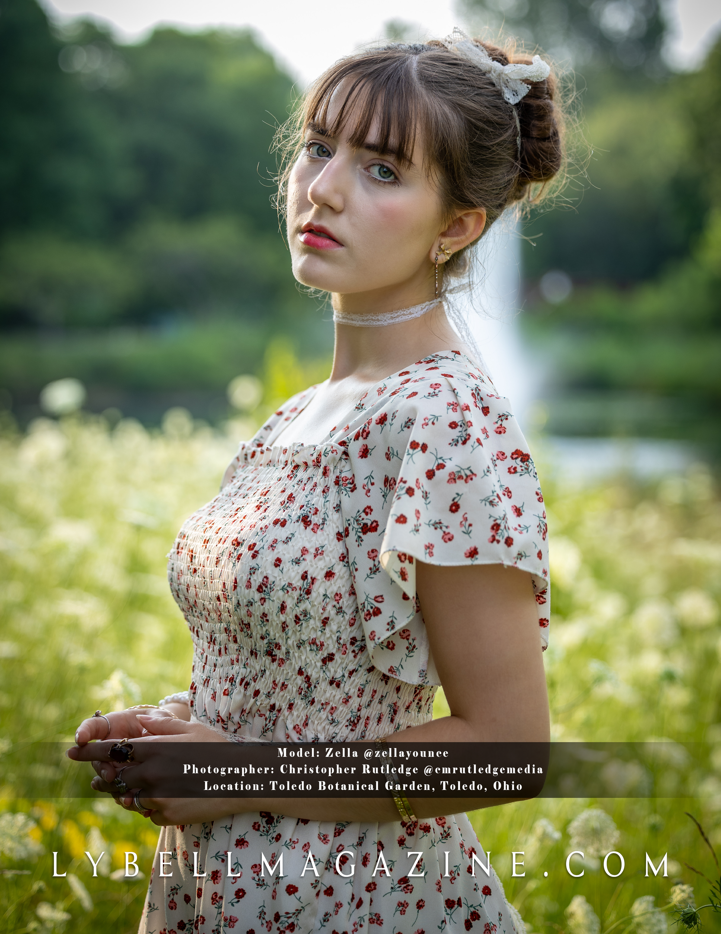 The Back Cover.png