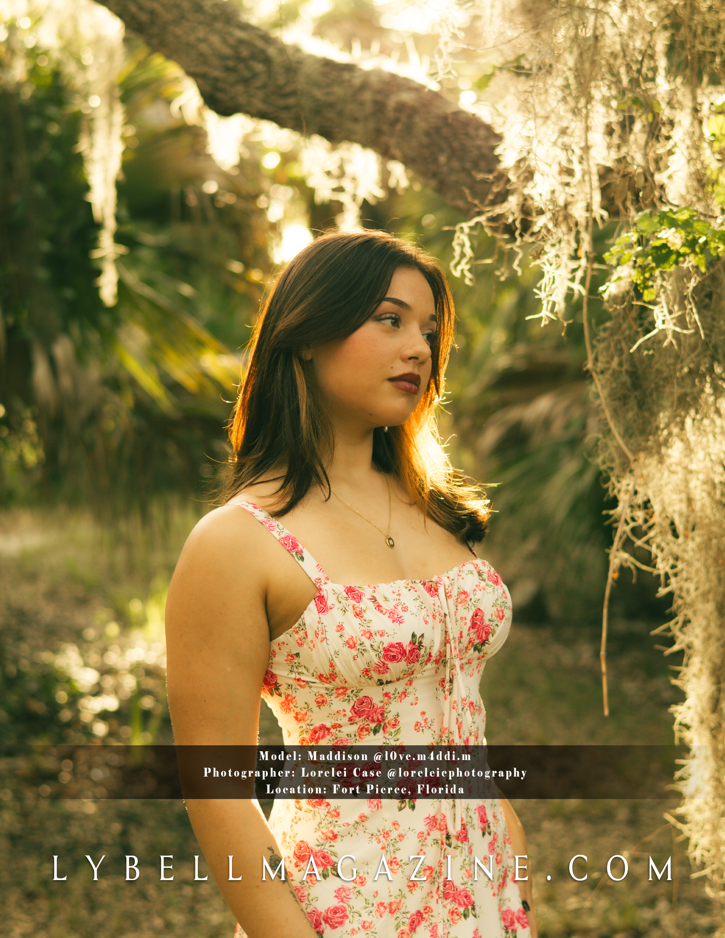 The Back Cover.png