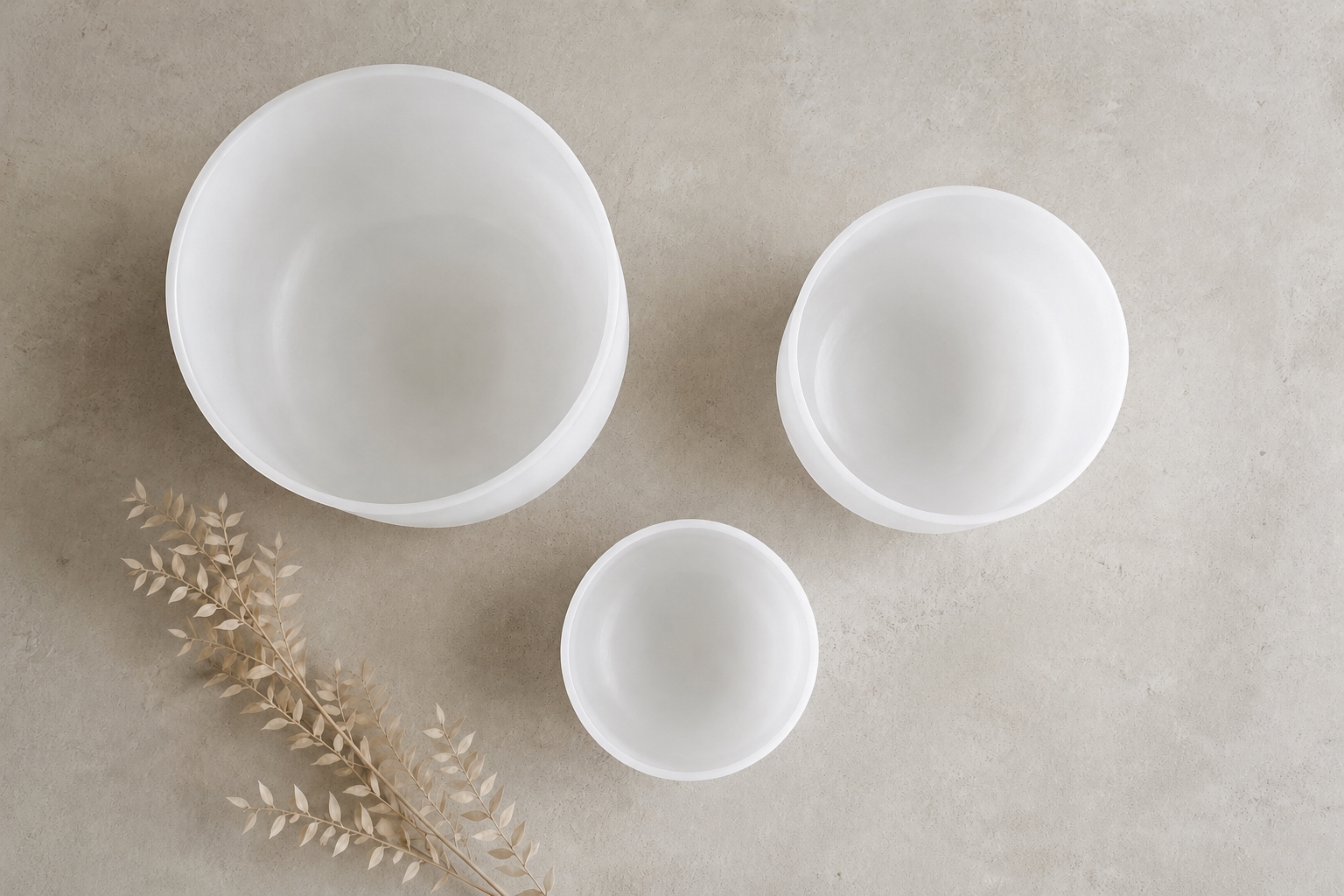 Three white ceramic bowls of different sizes on a beige surface with a dried plant underneath.
