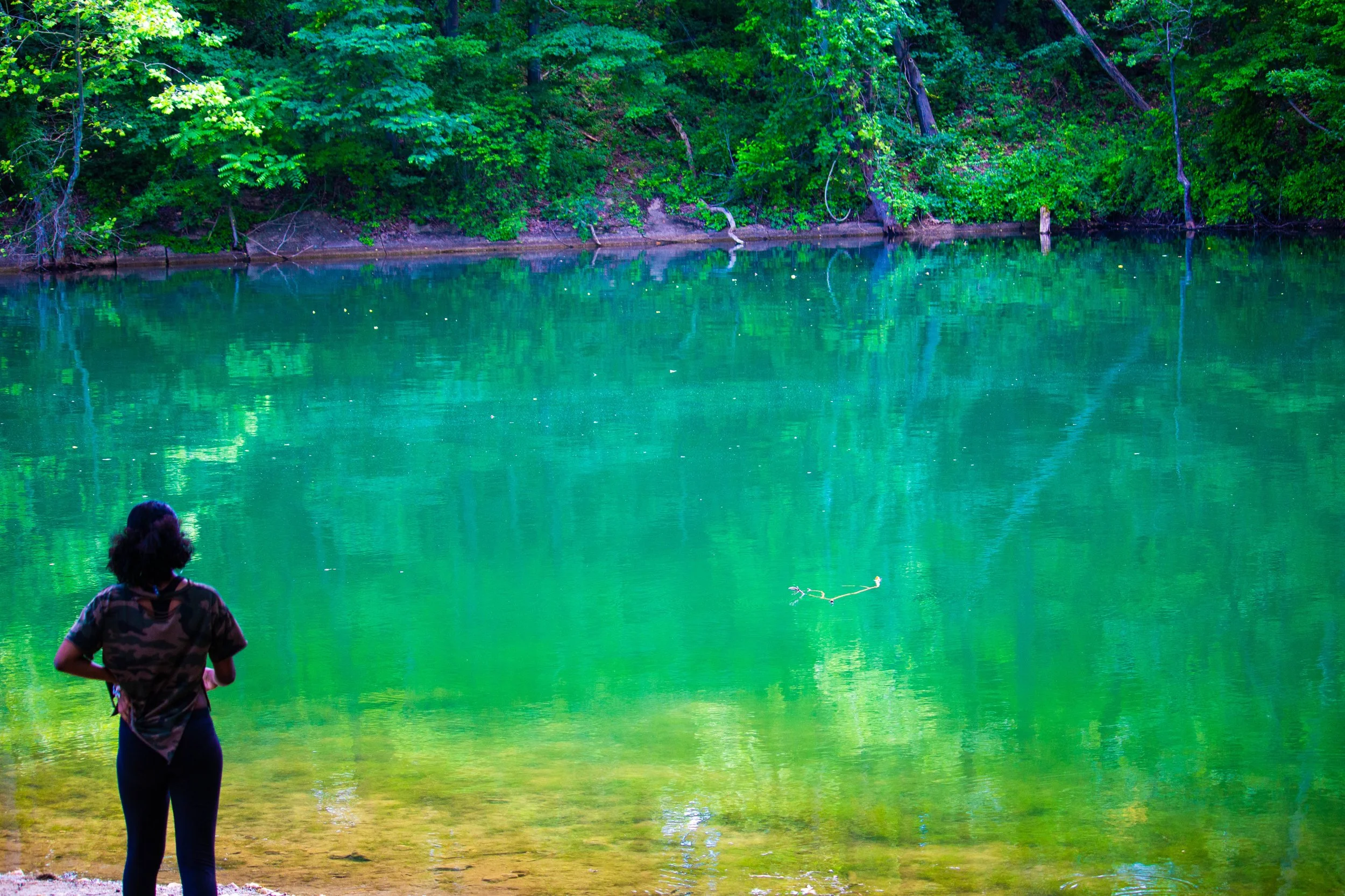 La Naturaleza   "It is difficult to distinguish where the feminine ends and Nature begins." - Antonio Carlos Jobim