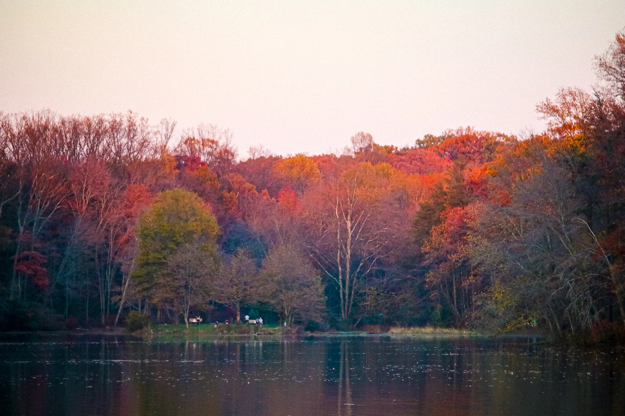 Autumn