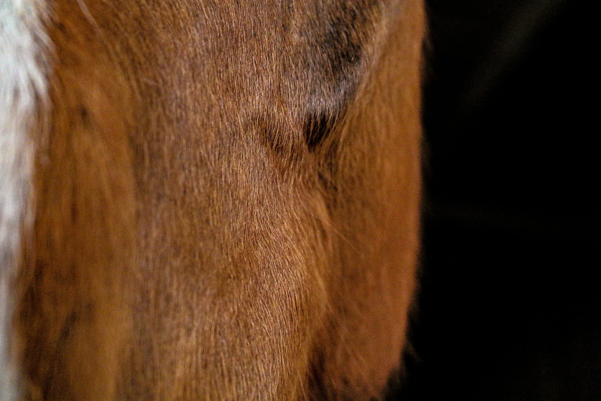 Up Close and Personal
