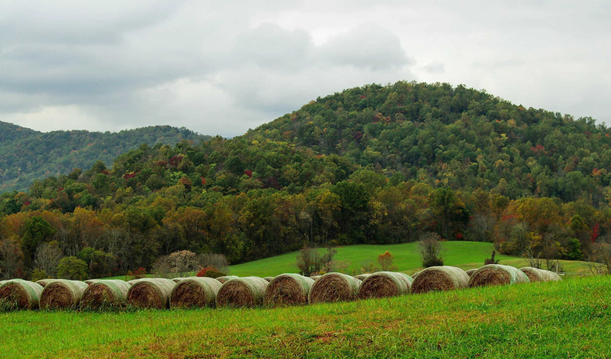 Roll in the Hay
